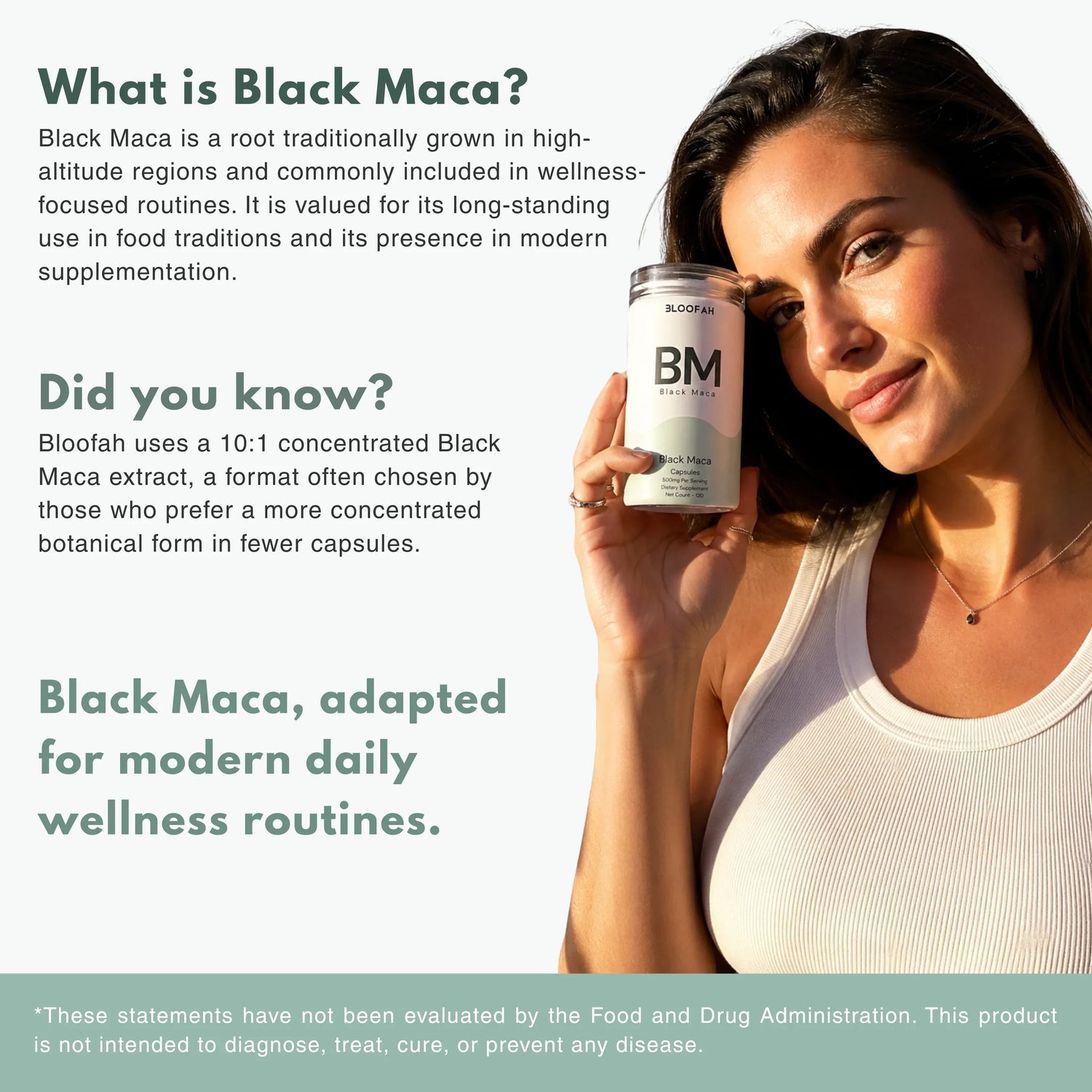 Bloofah BM Black Maca Capsules 500mg | Lepidium meyenii Root Extract | 120 Capsules
