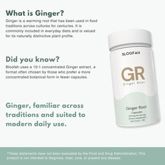 Bloofah GR – Ginger Capsules 500mg | Digestion & Comfort Support (120 Capsules)