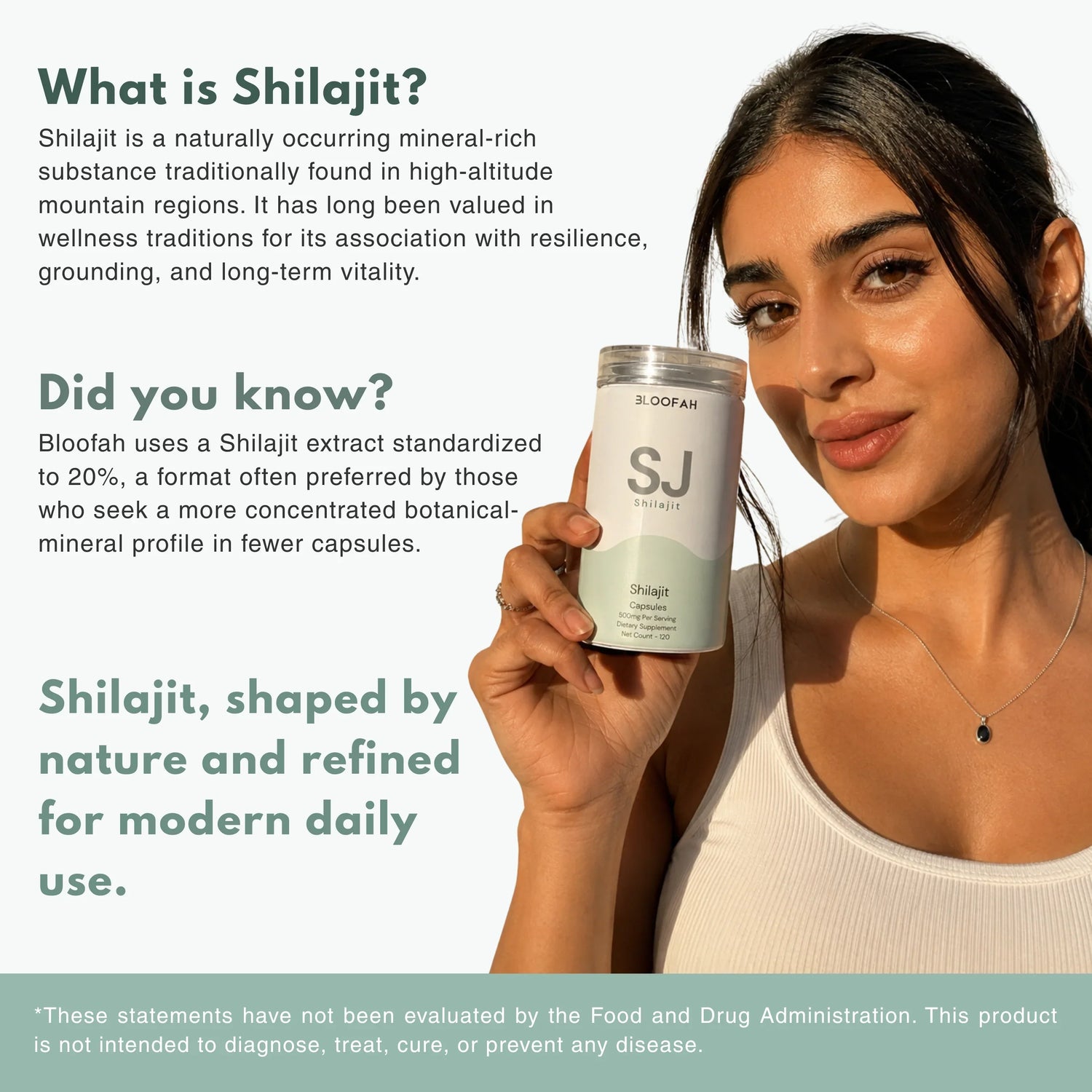 Bloofah SJ Shilajit Capsules 500mg | Himalayan Mineral Resin Extract | 120 Capsules