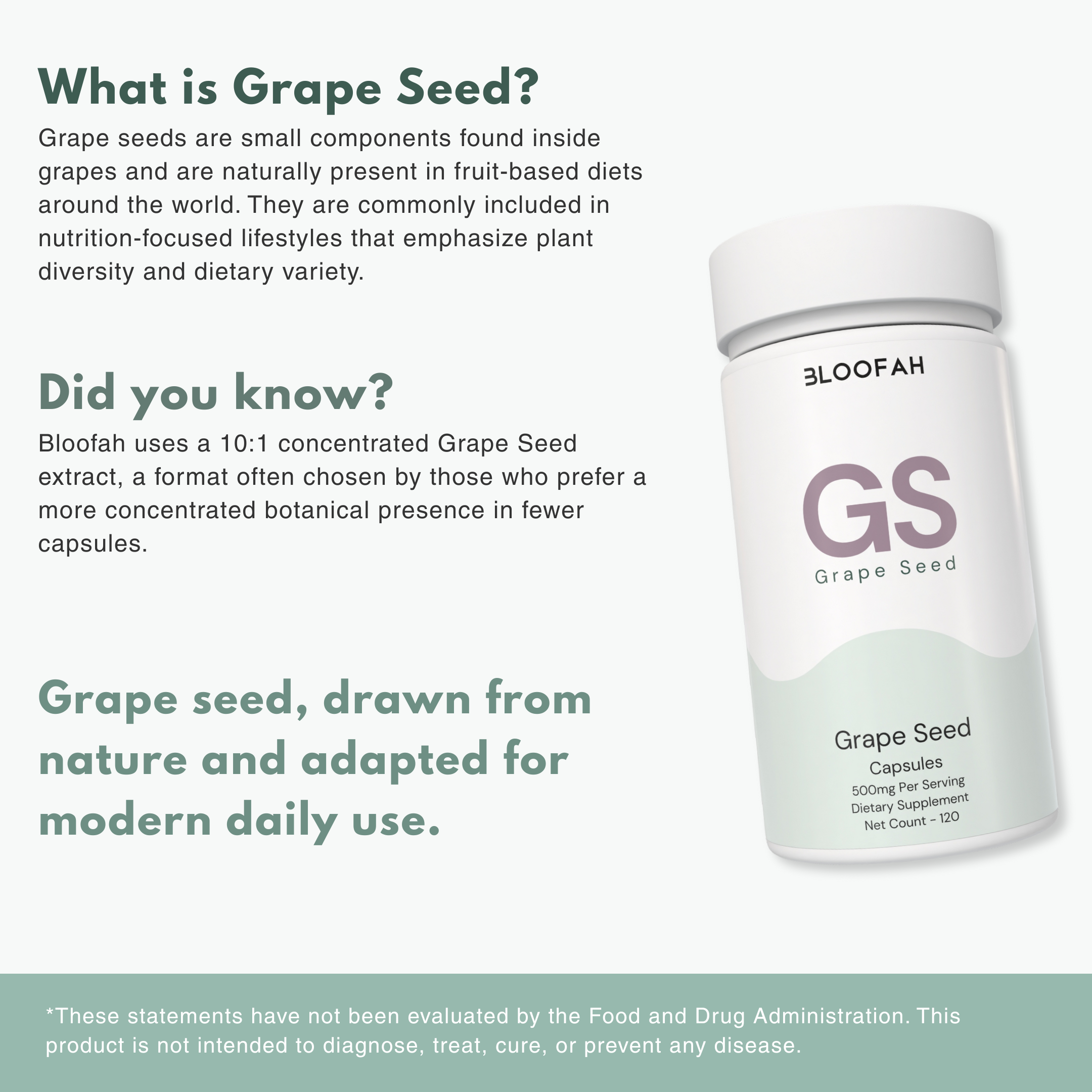 Bloofah GS – Grape Seed Capsules 500mg | Antioxidant & Skin Support (120 Capsules)