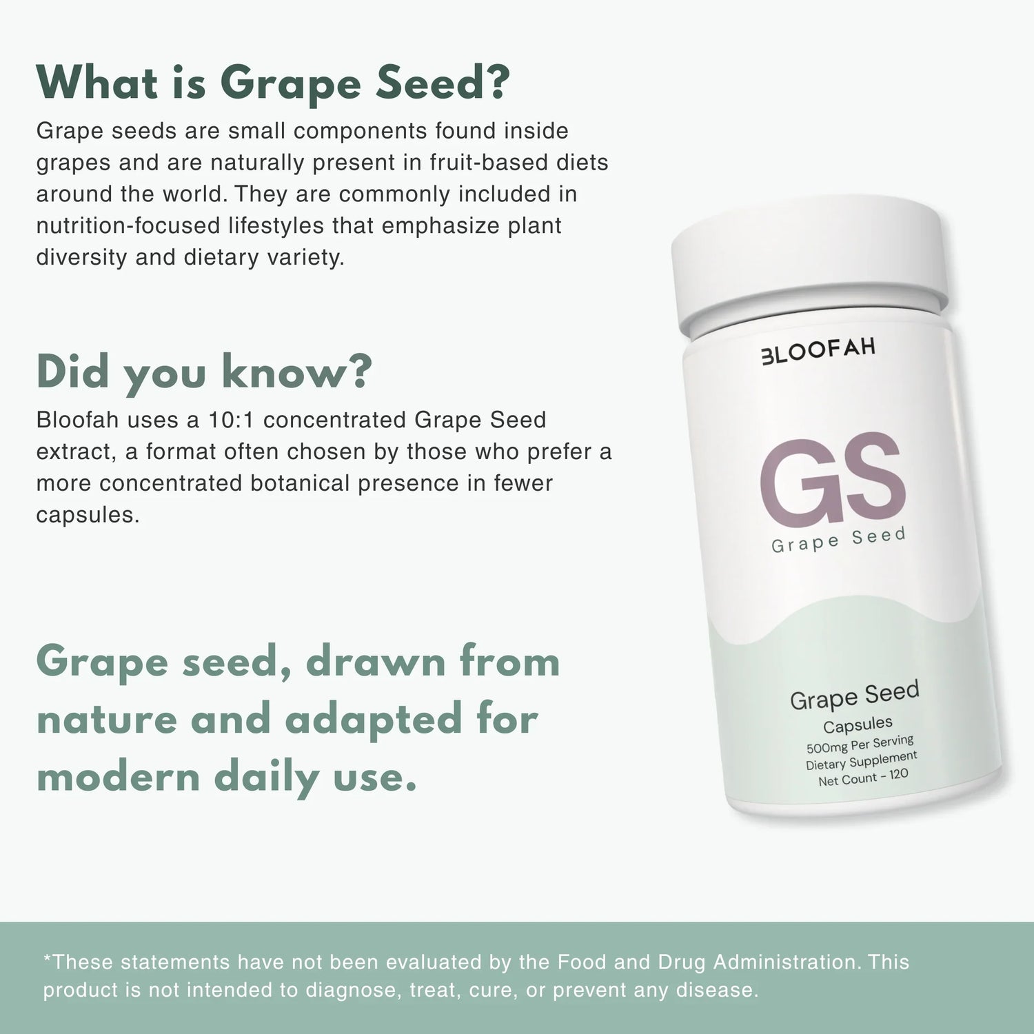 Bloofah GS Grape Seed Capsules 500mg | Vitis vinifera Extract | 120 Capsules