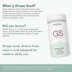 Bloofah GS – Grape Seed Capsules 500mg | Antioxidant & Skin Support (120 Capsules)
