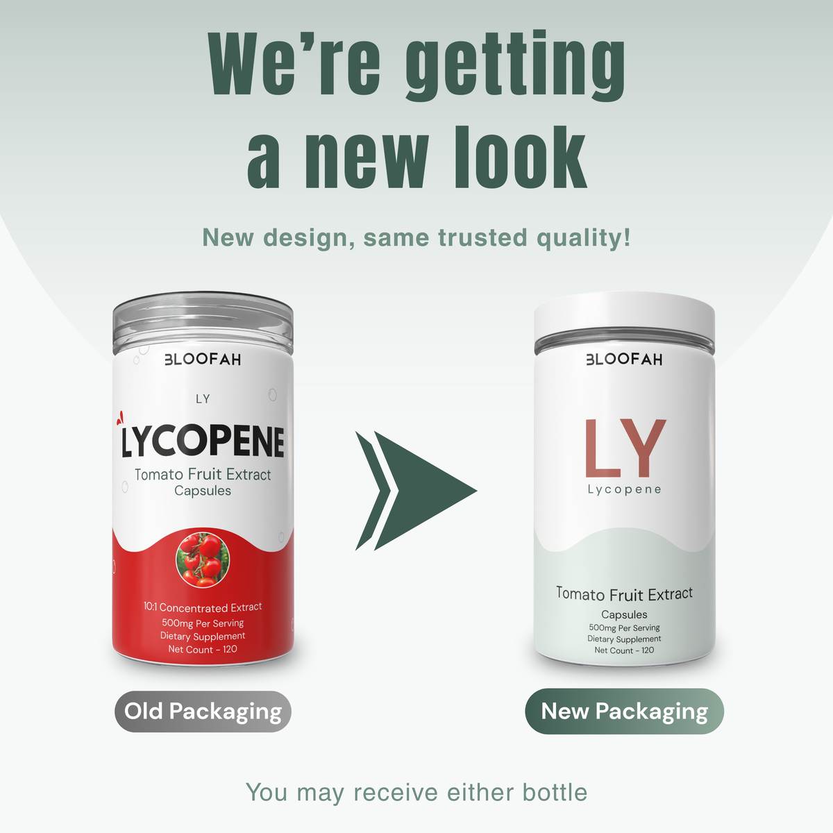 Bloofah LY Lycopene Supplement 500mg | Tomato Fruit Extract Capsules | Rich in Naturally Occuring Lycopene
