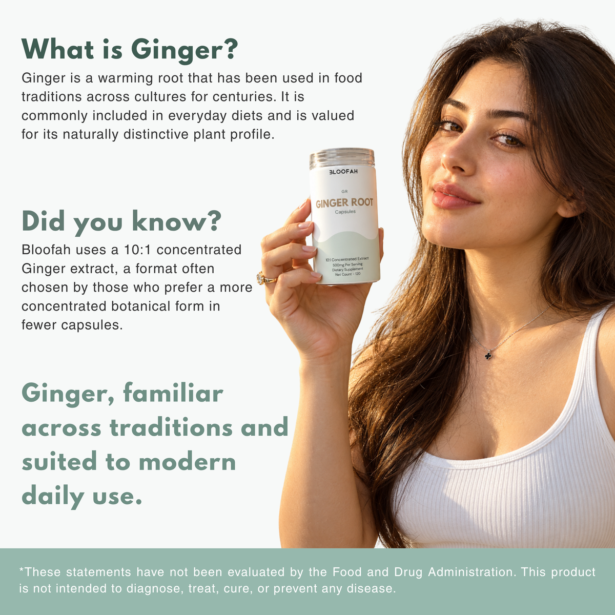 Bloofah GR Ginger Root Capsules 500mg | Zingiber officinale Extract | 120 Capsules