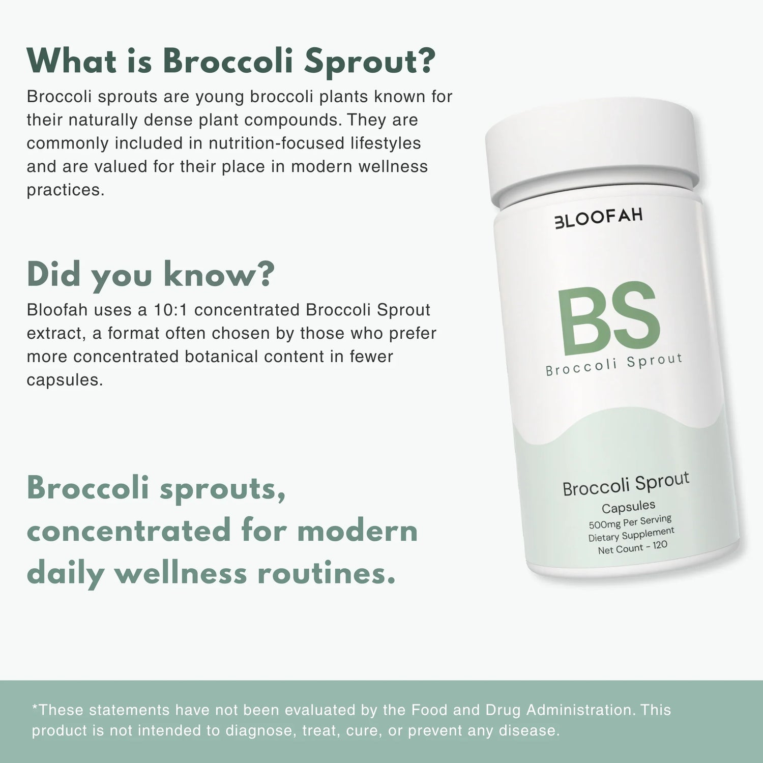Bloofah BS Broccoli Sprout Capsules 500mg | Sulforaphane-Rich Brassica Extract | 120 Capsules