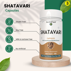 Bloofah Shatavari Root Capsules 500mg | 10:1 Extract Powder Eq. to 5000mg | Premium Herbal Supplement | Natural Asparagus racemosus for General Vitality | Non-GMO, Gluten-Free