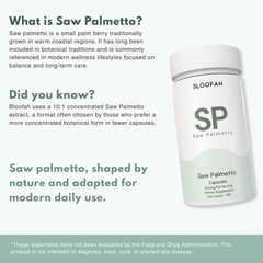 Bloofah SP – Saw Palmetto Capsules 500mg | Hair & Men’s Wellness Support (120 Capsules)