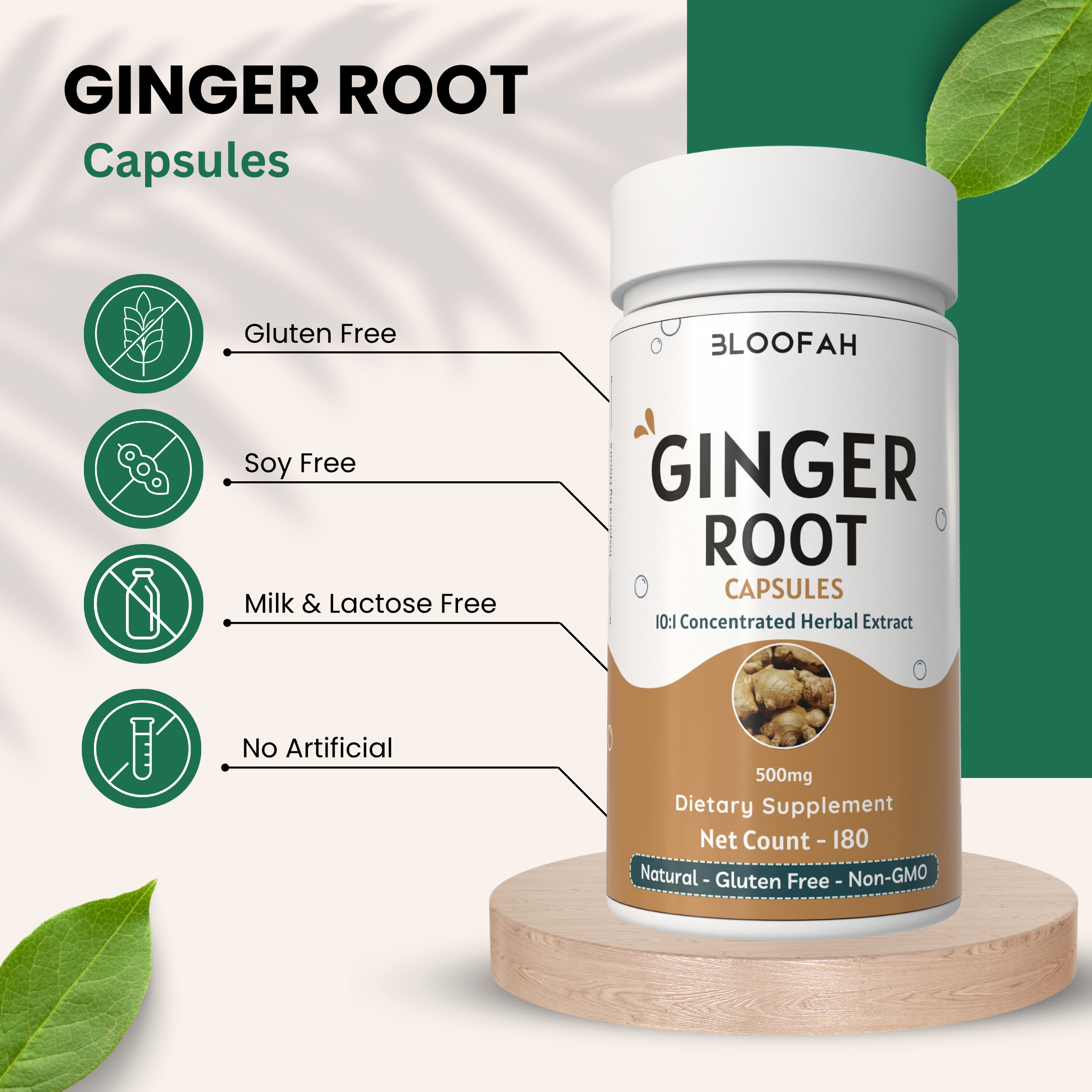 Bloofah Ginger Root Capsules 500mg | Non-GMO, Gluten Free Formula | 100% Pure Ginger (Zingiber officinale) Root Extract 10:1 Powder Herbal Supplement for Overall Health