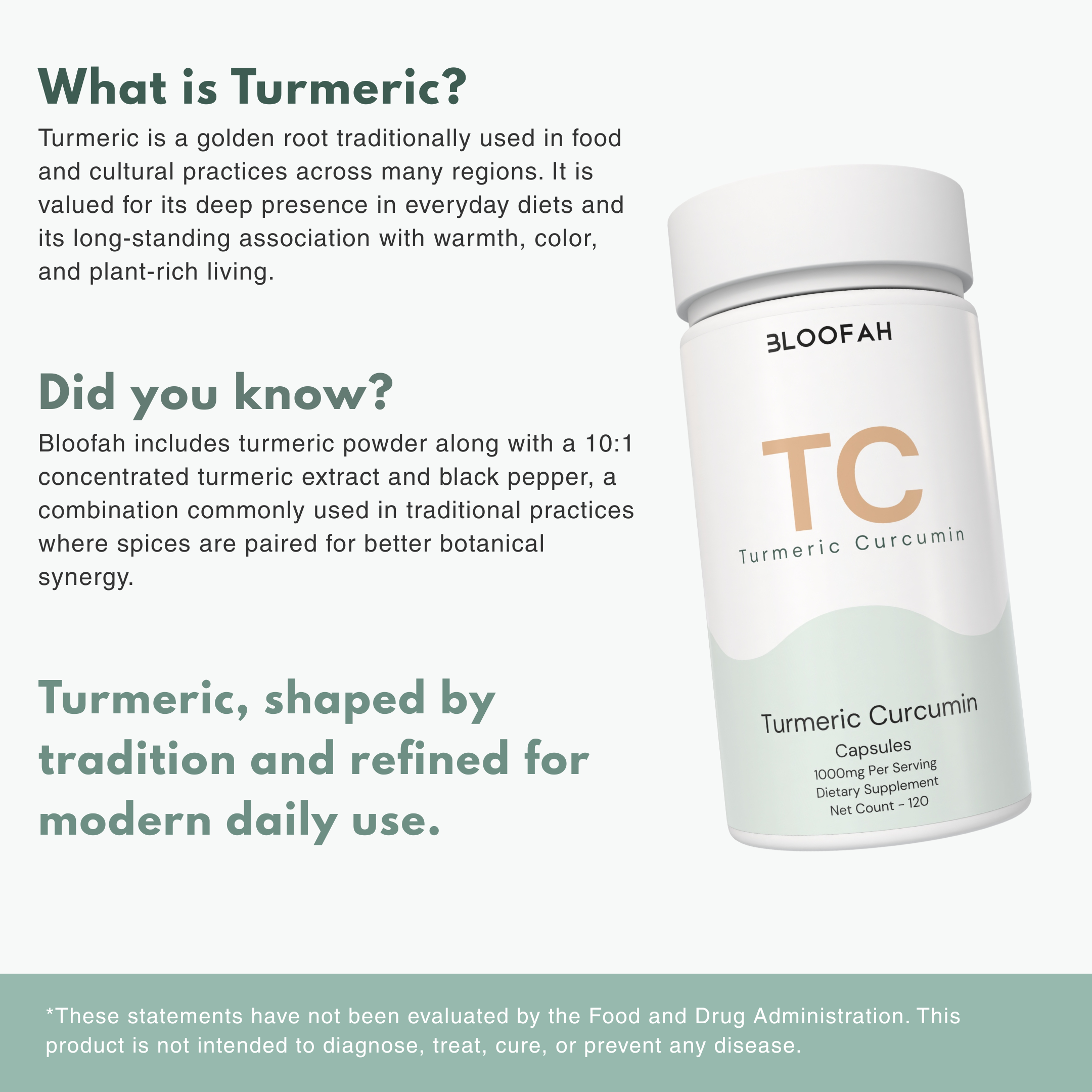 Bloofah TC – Turmeric Capsules 1000mg | Joint Comfort & Antioxidant Support (120 Capsules)