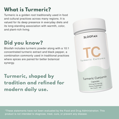 Bloofah TC – Turmeric Capsules 1000mg | Joint Comfort & Antioxidant Support (120 Capsules)