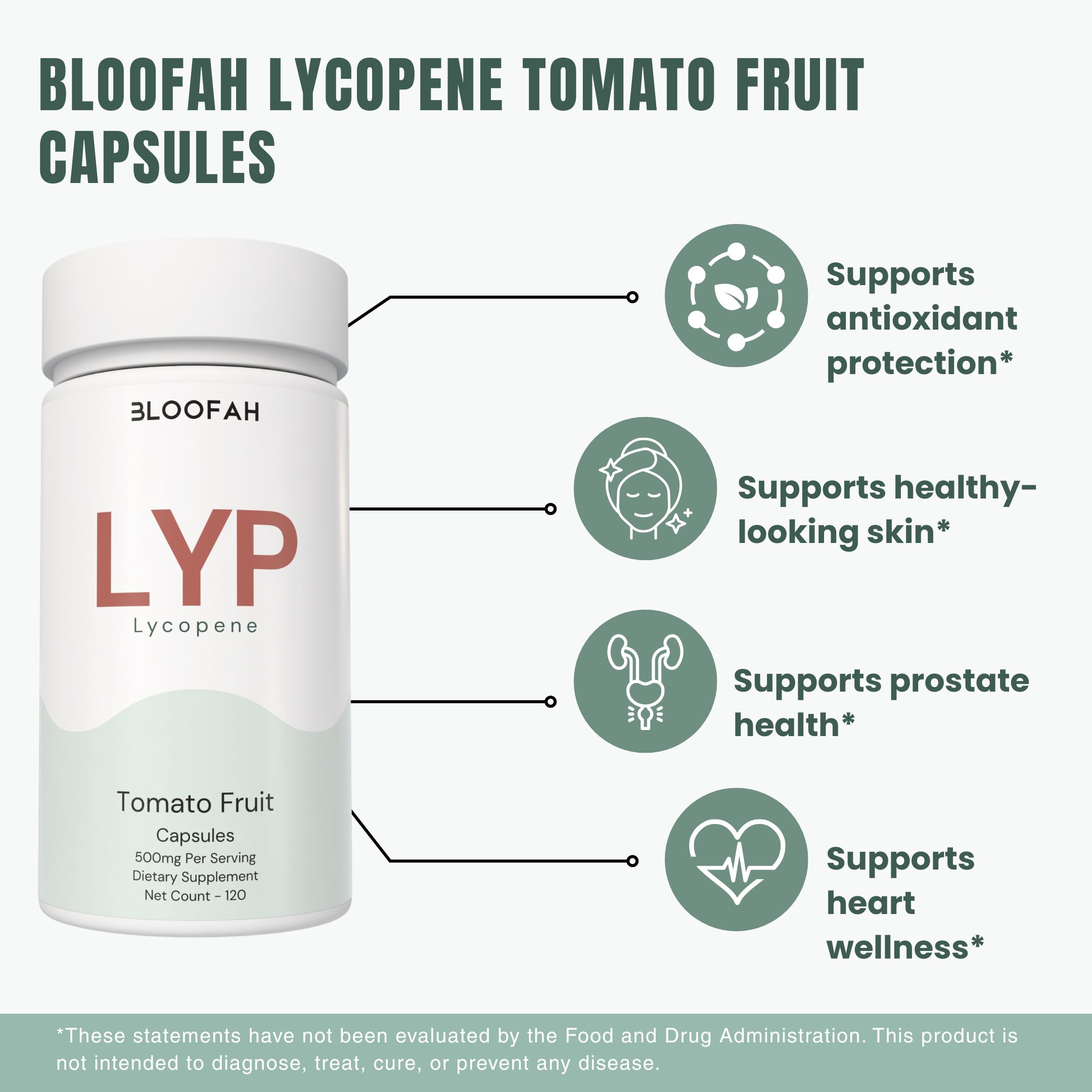 Bloofah LYP – Lycopene Capsules 500mg | Antioxidant Support from Tomato Fruit (120 Capsules)