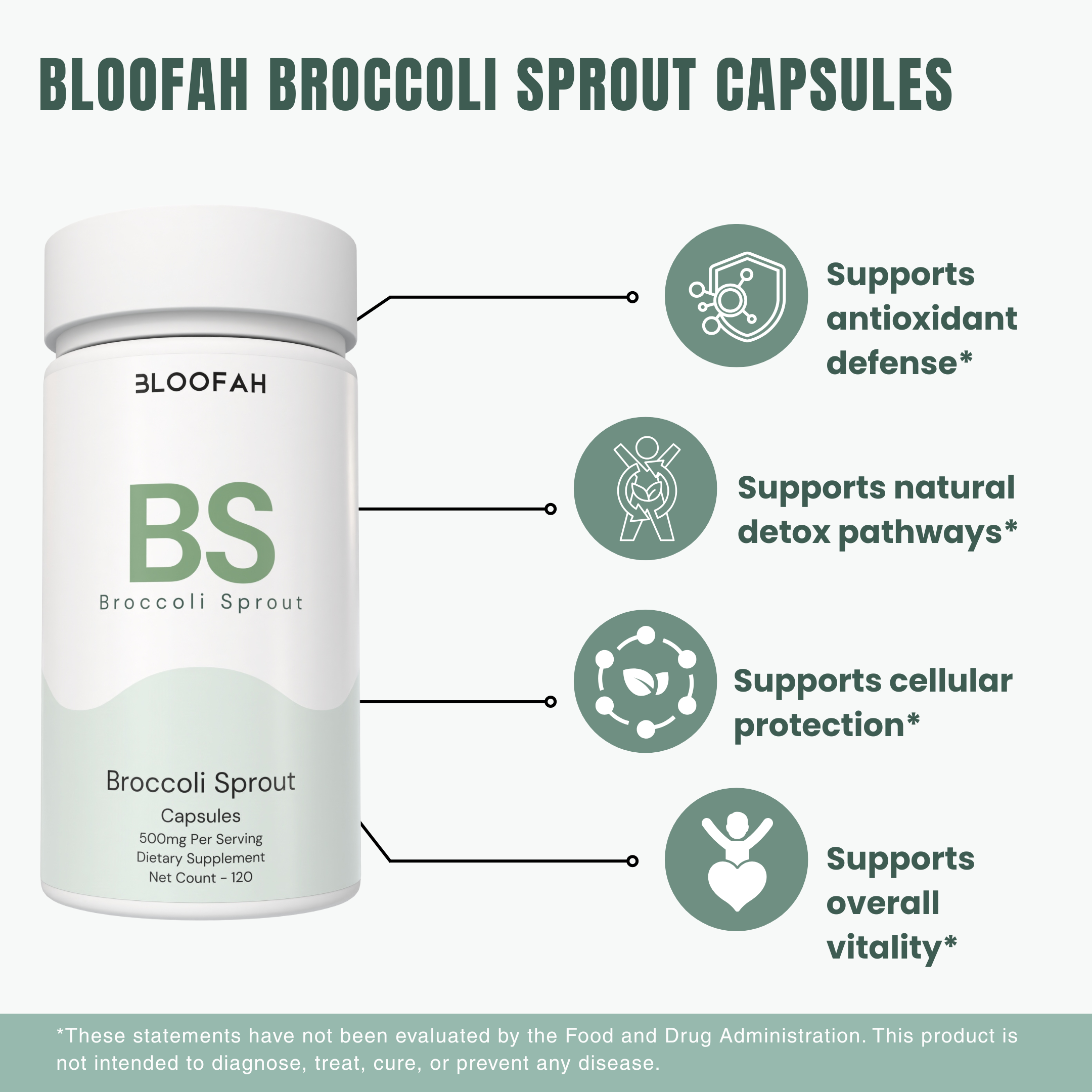 Bloofah BS – Broccoli Sprout Capsules 500mg | Cellular & Antioxidant Support (120 Capsules)