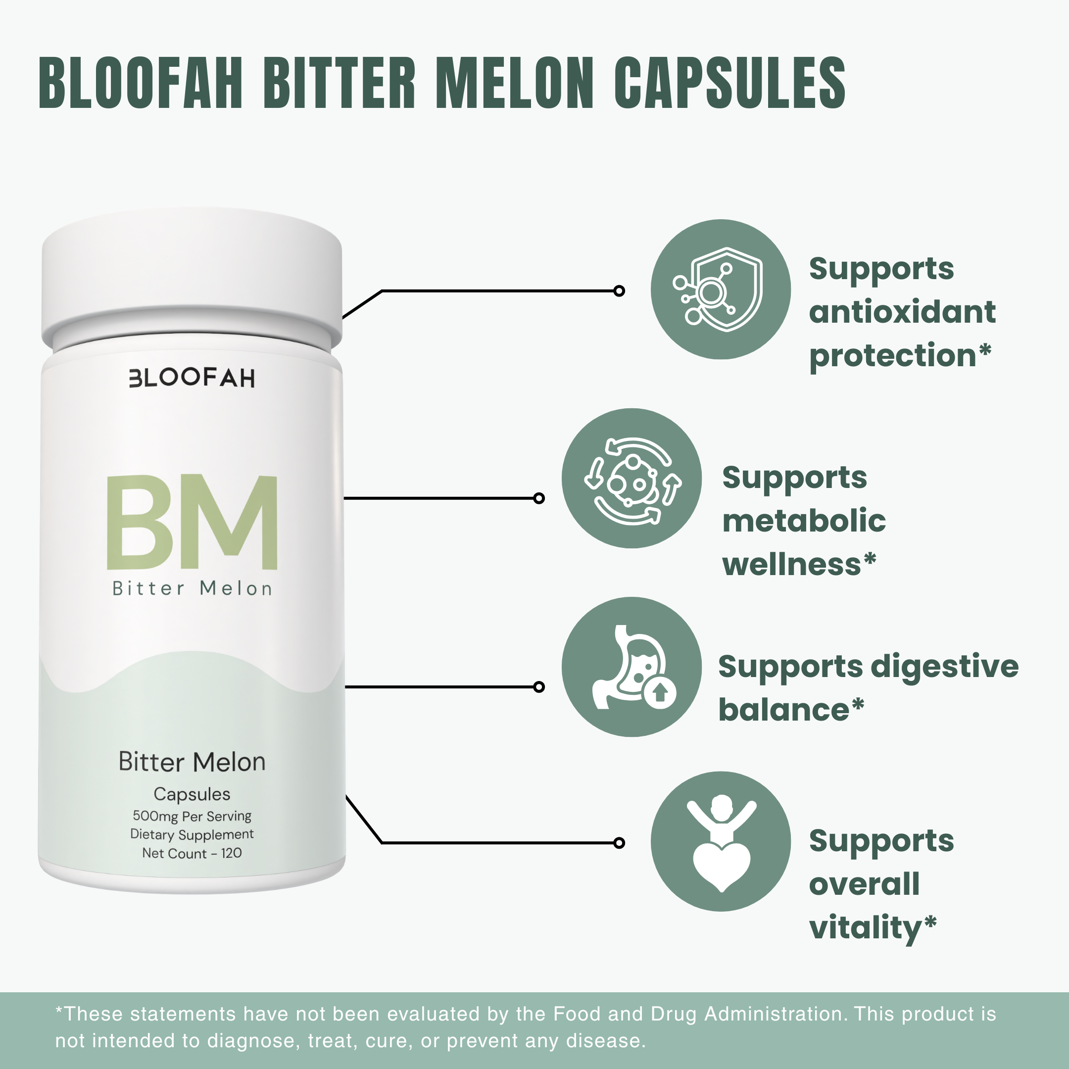 Bloofah BM – Bitter Melon Capsules 500mg | Metabolic & Balance Support (120 Capsules)