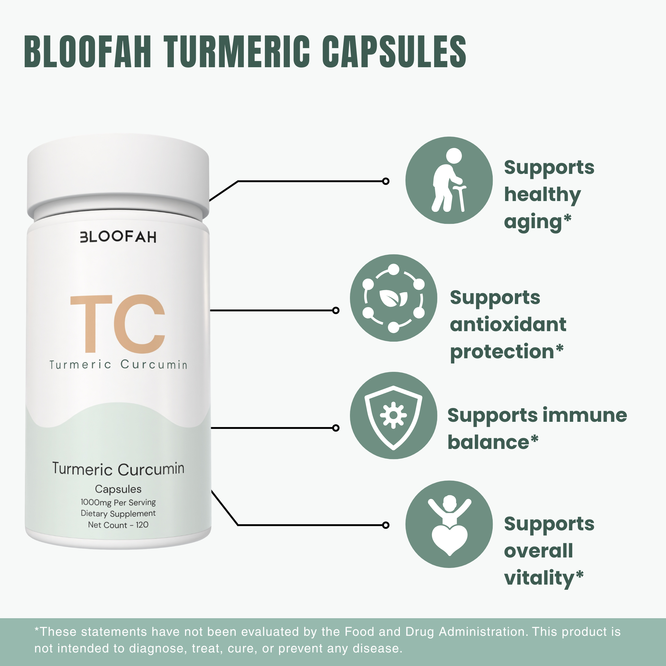 Bloofah TC – Turmeric Capsules 1000mg | Joint Comfort & Antioxidant Support (120 Capsules)