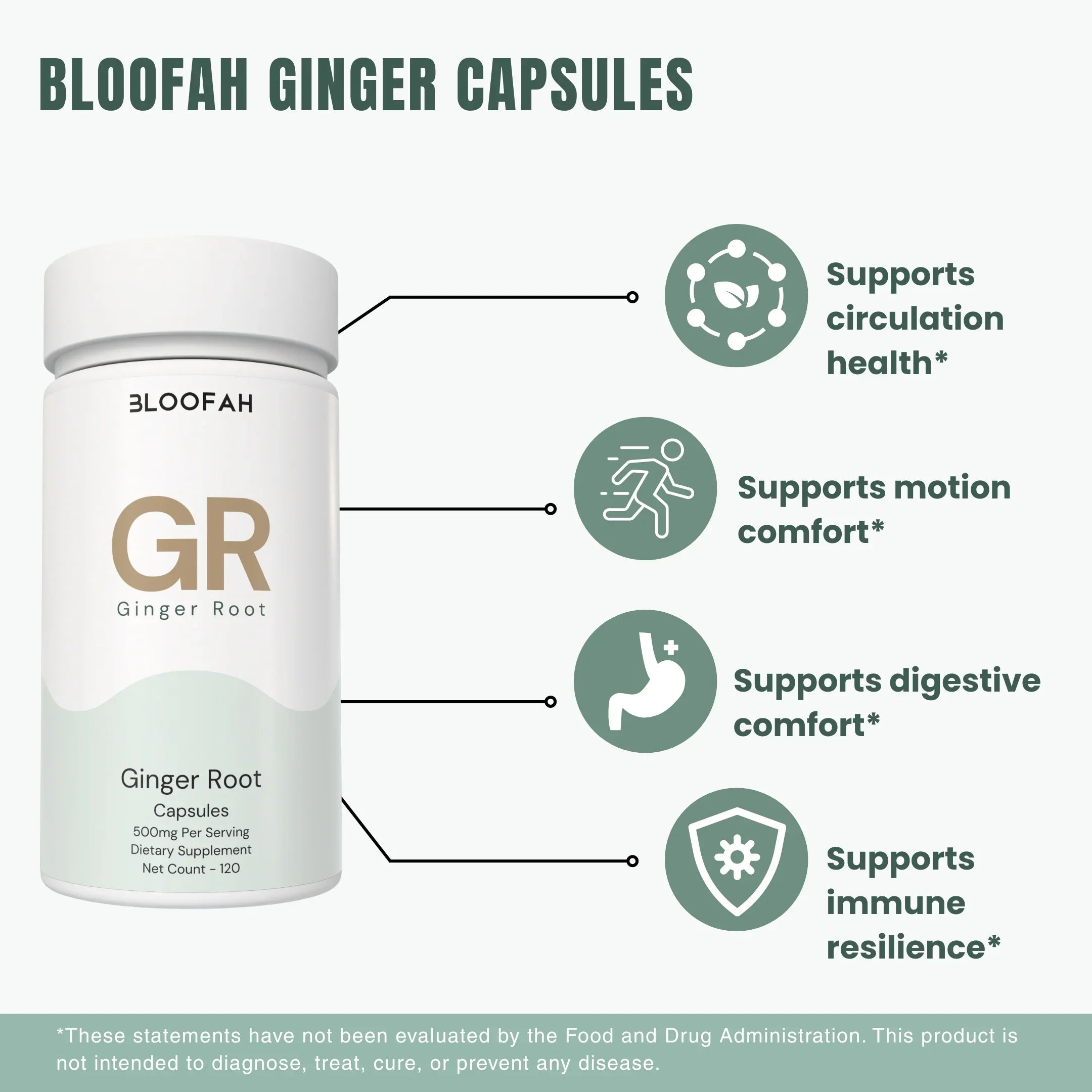 Bloofah GR – Ginger Capsules 500mg | Digestion & Comfort Support (120 Capsules)