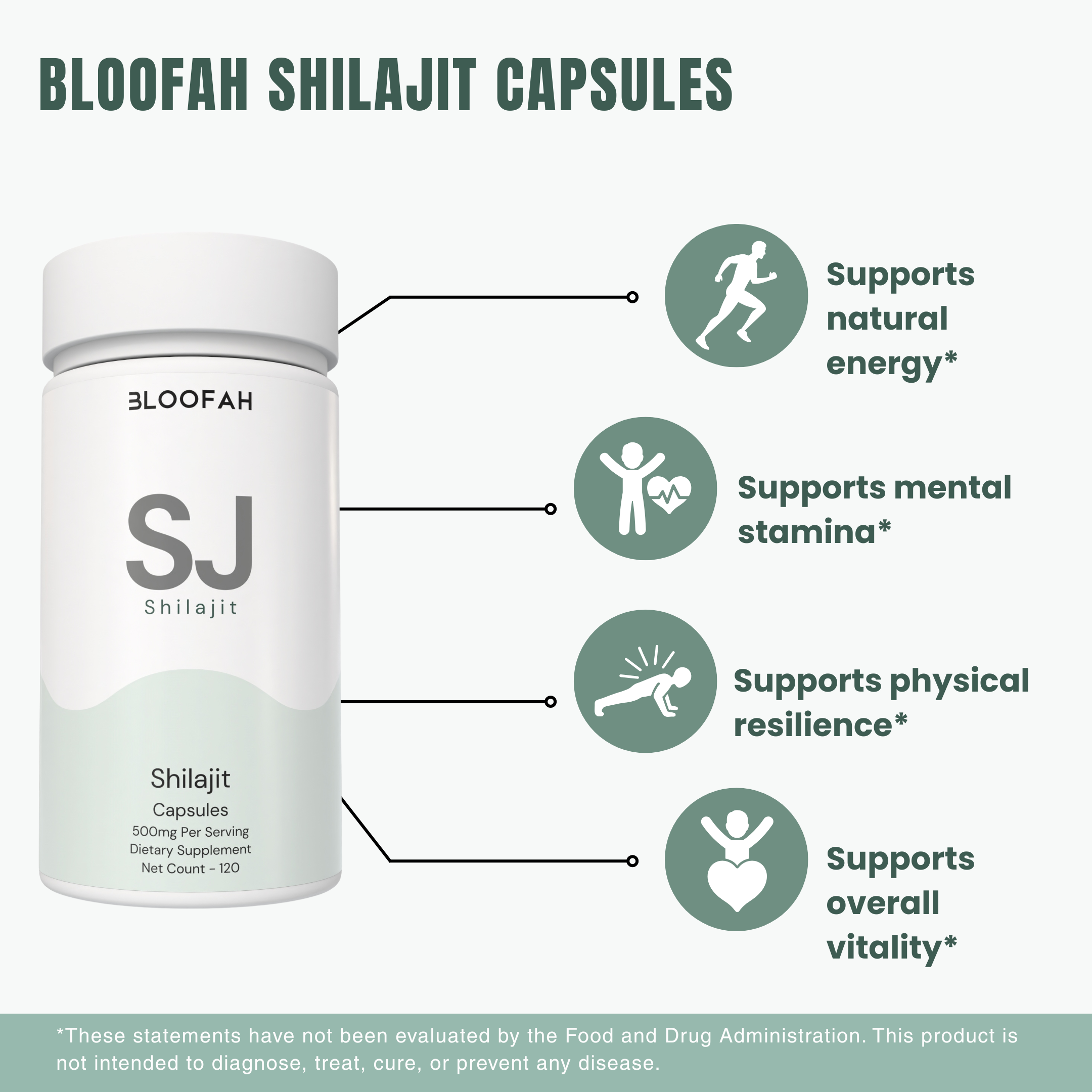 Bloofah SJ – Shilajit Capsules 500mg | Energy & Vitality Support (120 Capsules)
