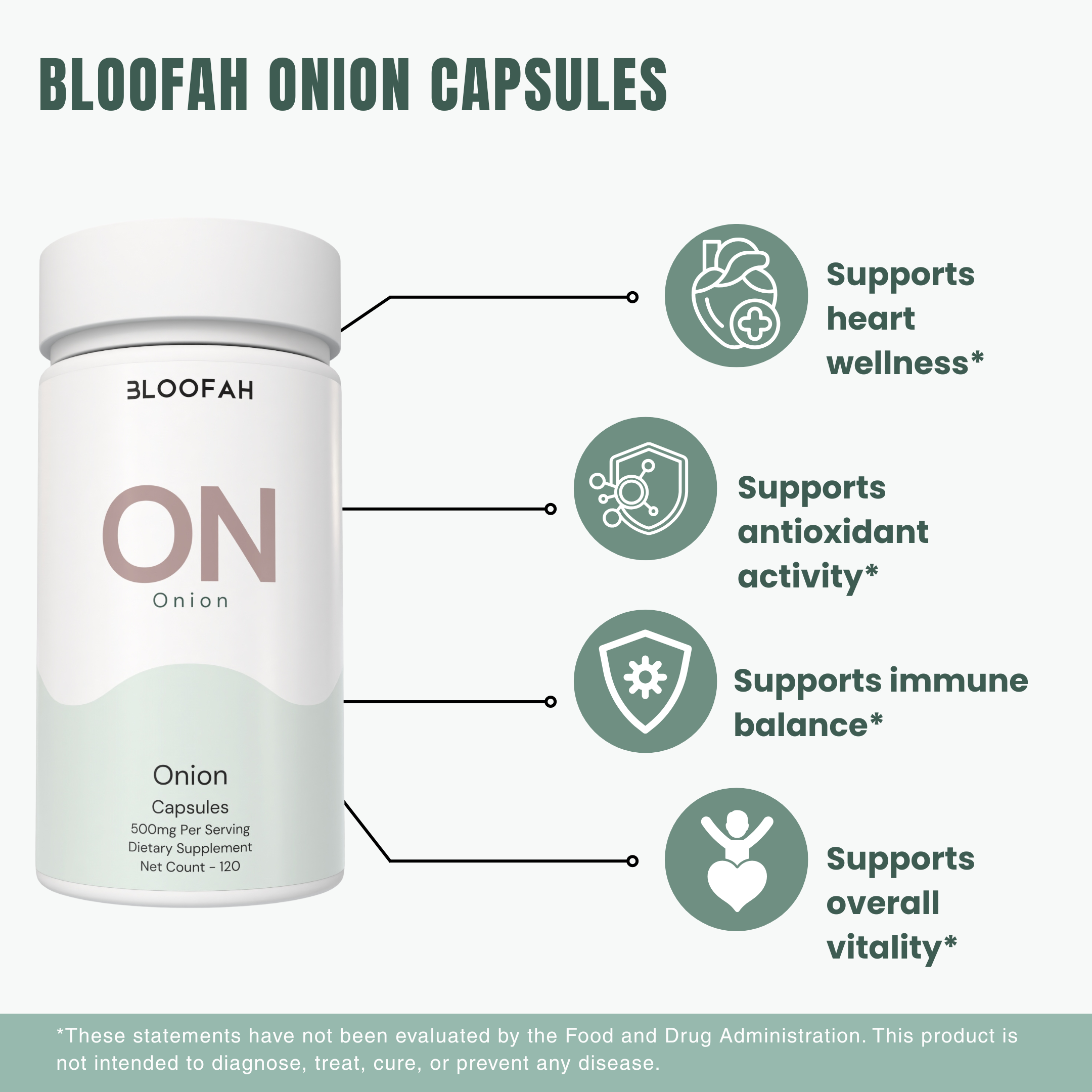 Bloofah ON – Onion Capsules 500mg | Antioxidant & Circulation Support (120 Capsules)