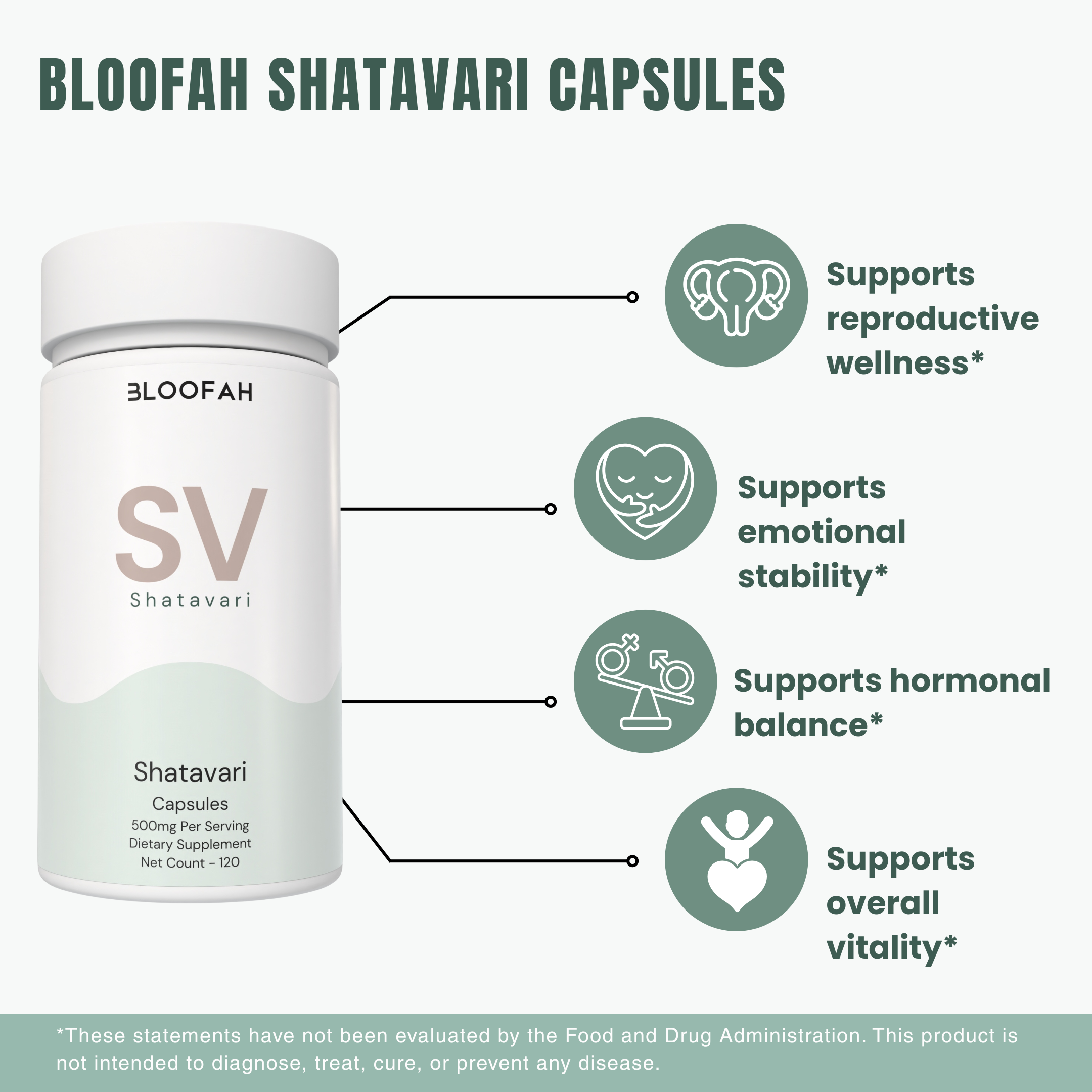 Bloofah SV – Shatavari Capsules 500mg | Balance & Vitality Support (120 Capsules)