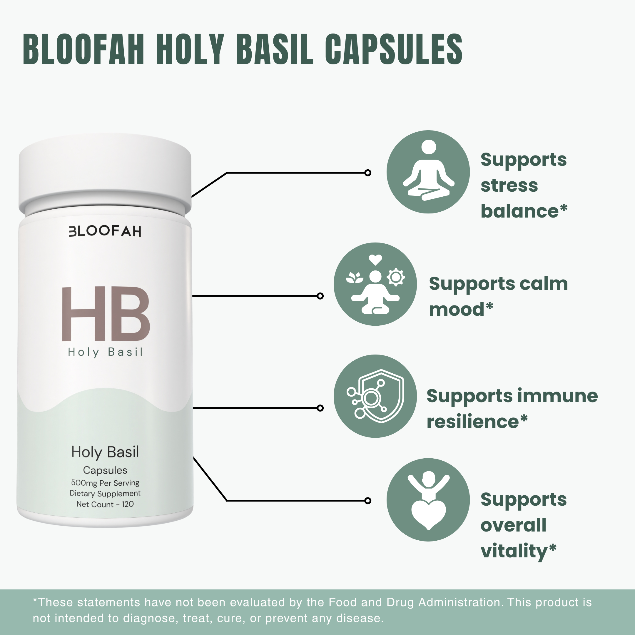Bloofah HB – Holy Basil Capsules 500mg | Stress & Immunity Support (120 Capsules)