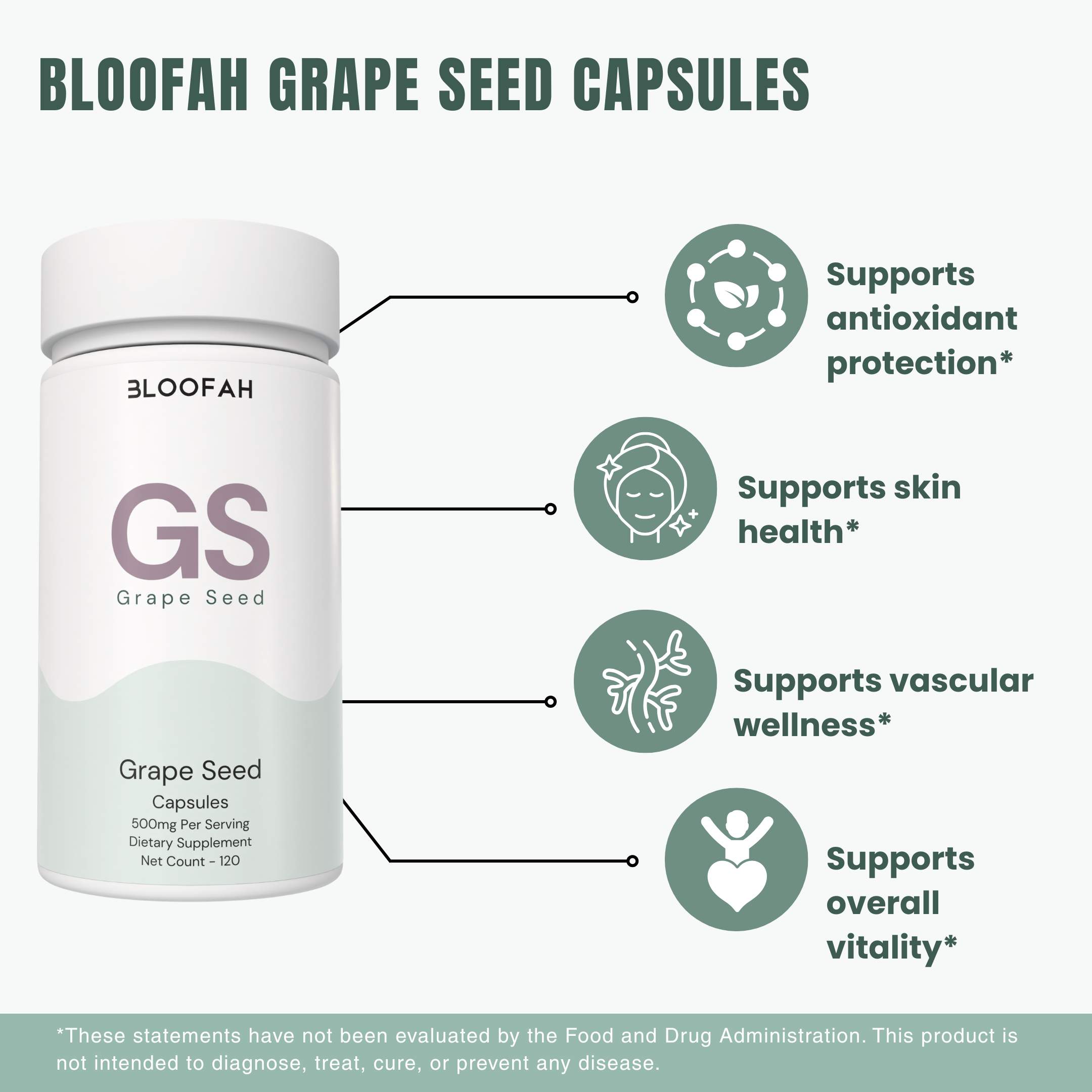 Bloofah GS – Grape Seed Capsules 500mg | Antioxidant & Skin Support (120 Capsules)