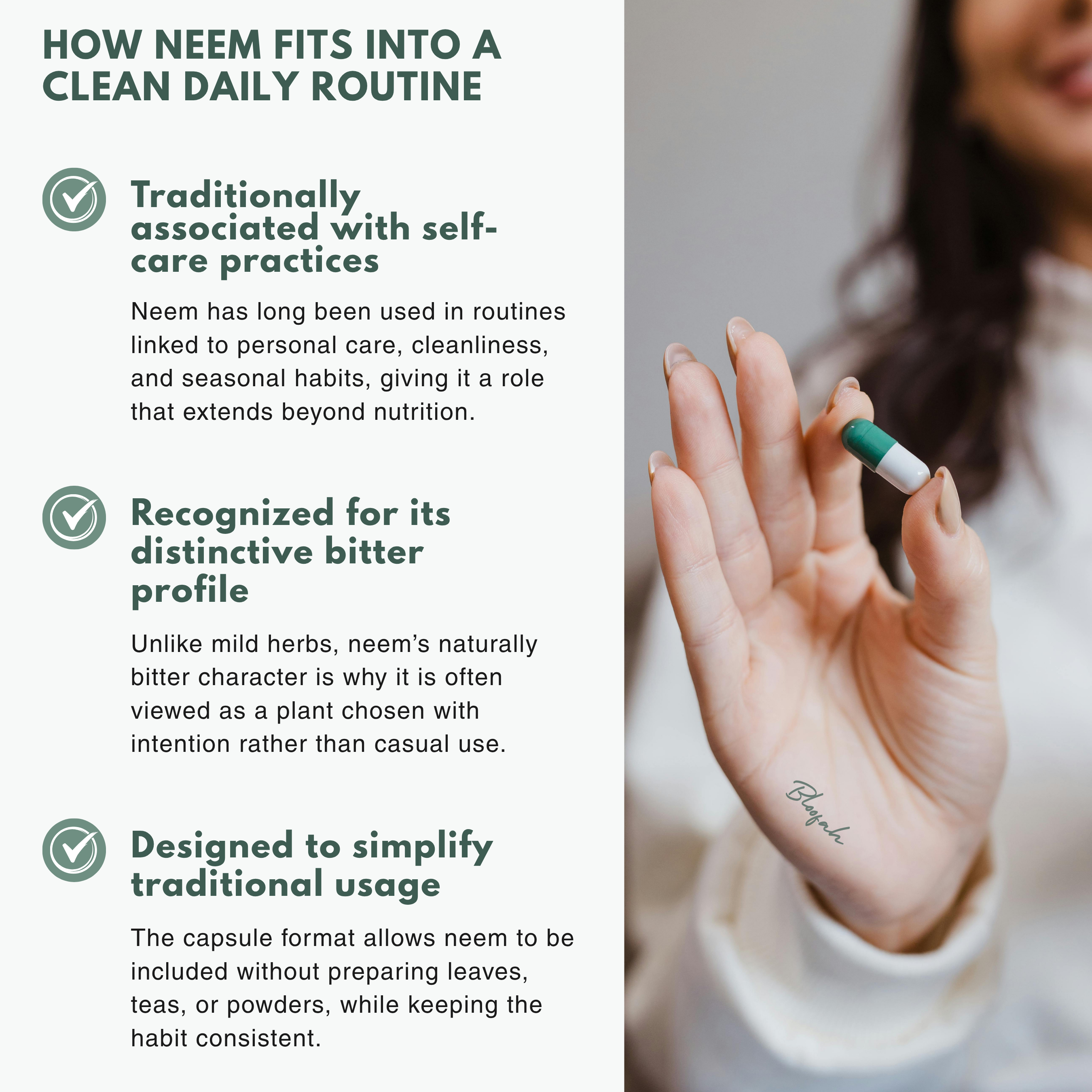 Bloofah NL Neem Capsules 1000mg | Azadirachta indica Leaf | 120 Capsules