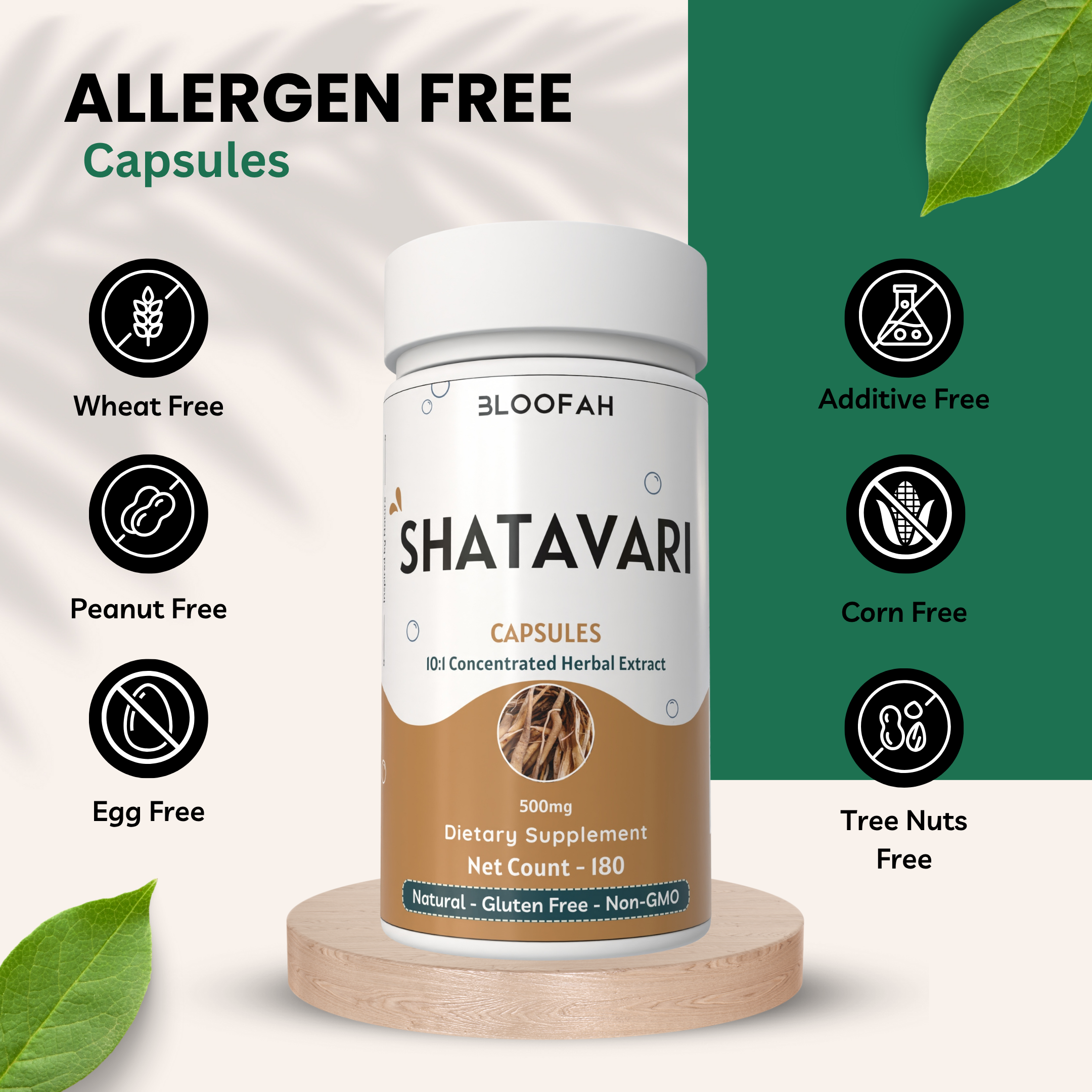 Bloofah Shatavari Root Capsules 500mg | 10:1 Extract Powder Eq. to 5000mg | Premium Herbal Supplement | Natural Asparagus racemosus for General Vitality | Non-GMO, Gluten-Free
