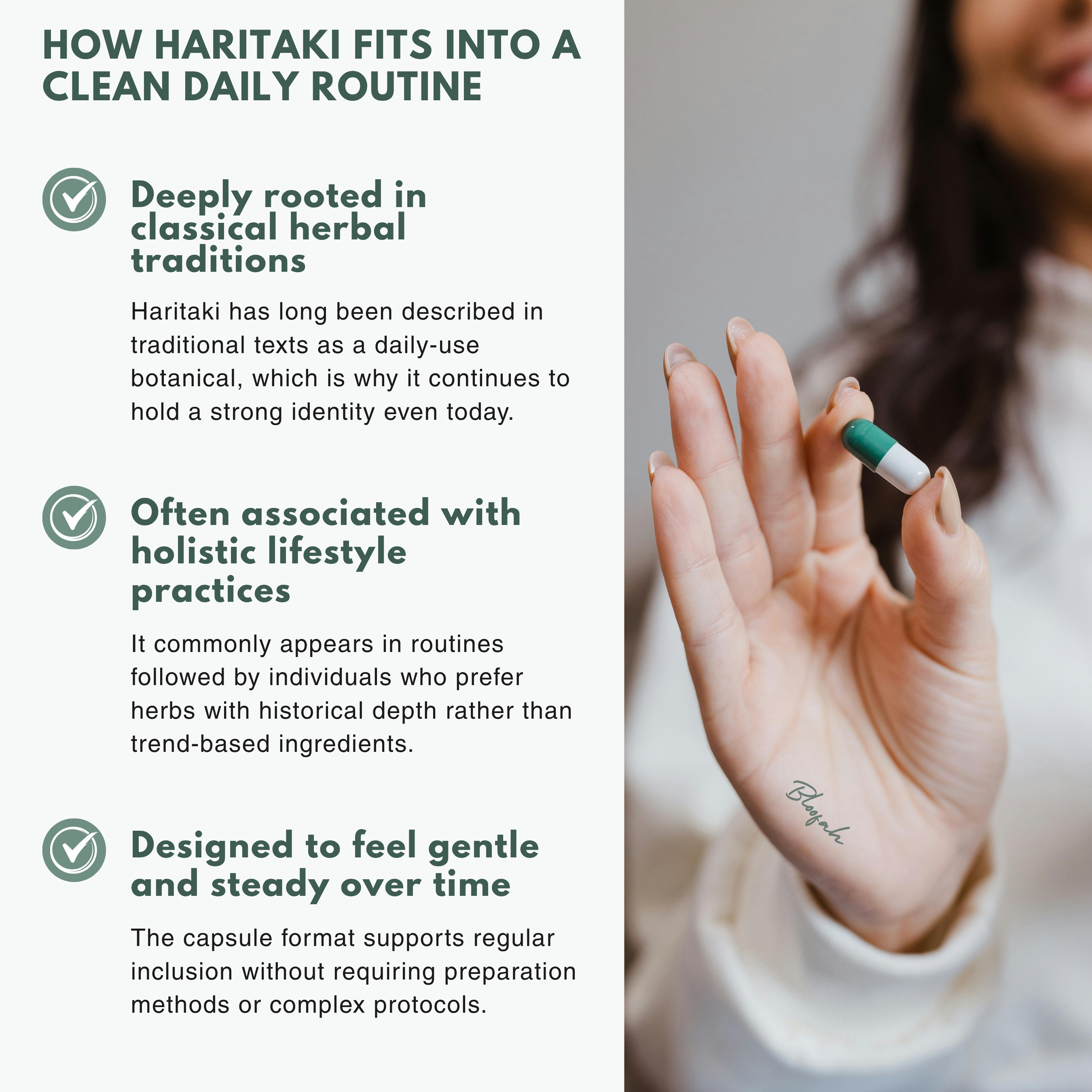 Bloofah HT Haritaki Capsules 500mg | Terminalia chebula Fruit Extract | 120 Capsules