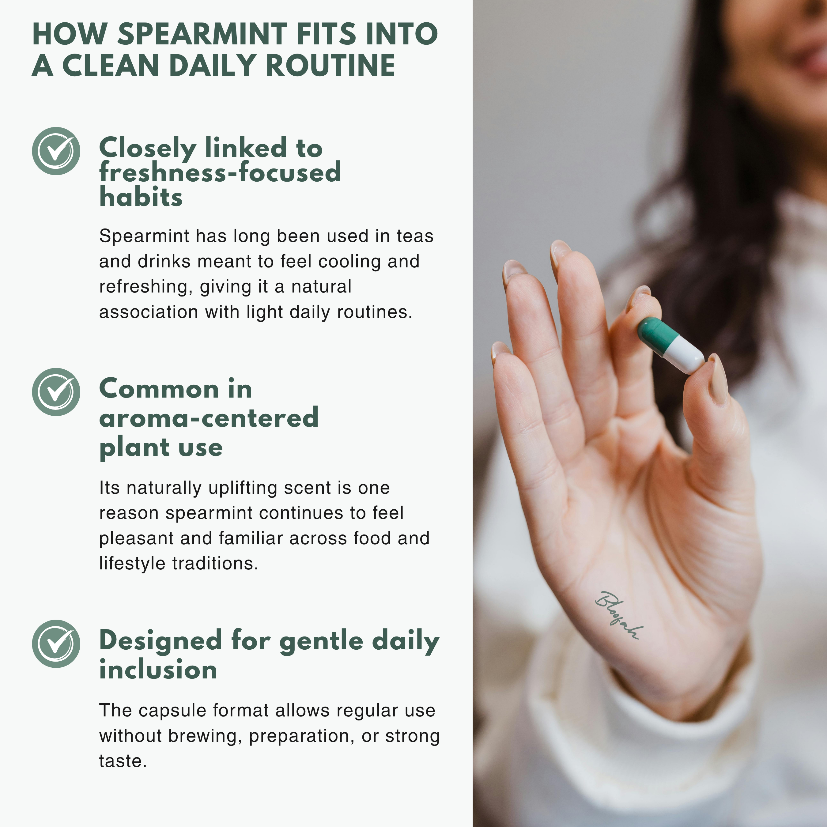 Bloofah SL Spearmint Capsules 1000mg | Mentha spicata Leaf | 120 Capsules