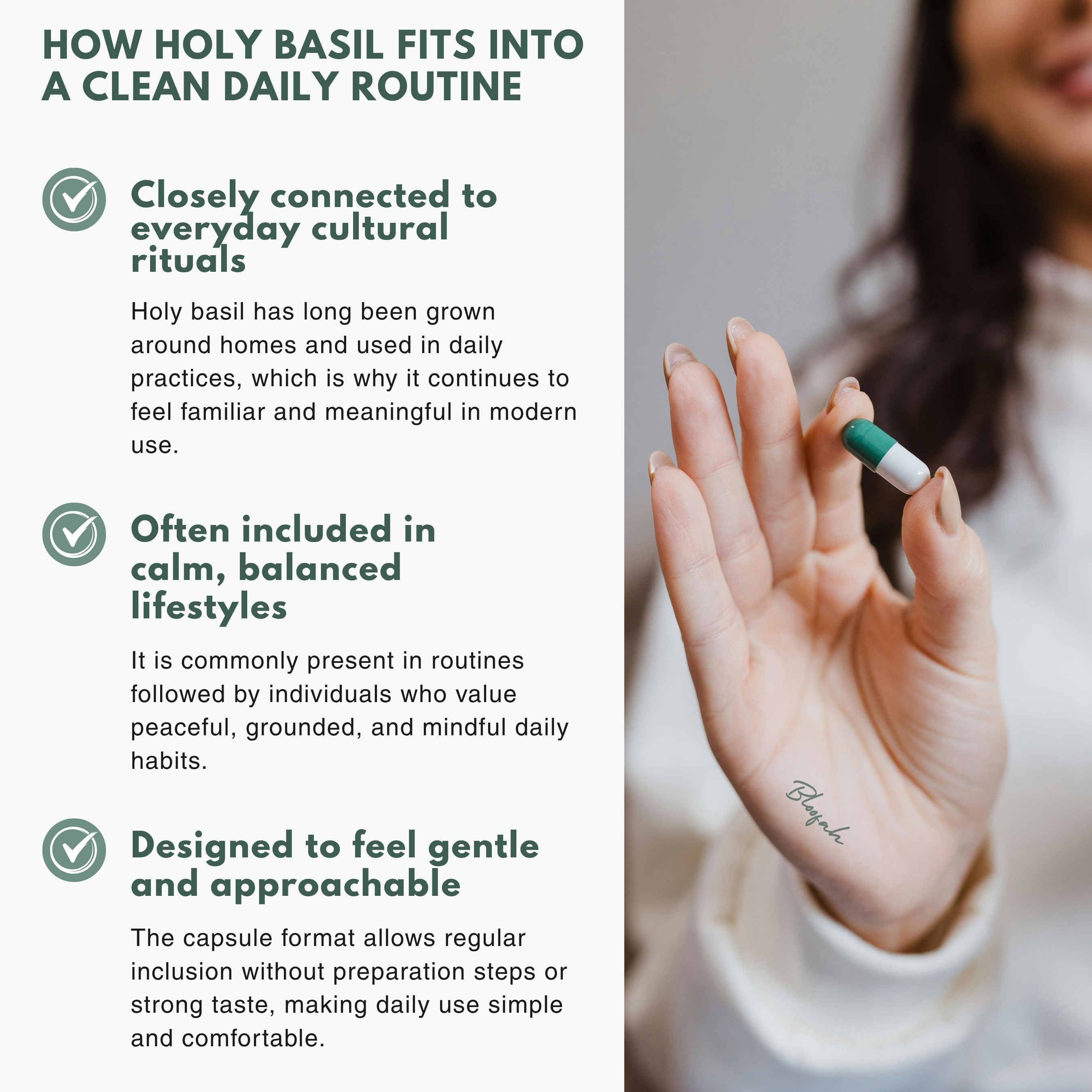 Bloofah HB – Holy Basil Capsules 500mg | Stress & Immunity Support (120 Capsules)