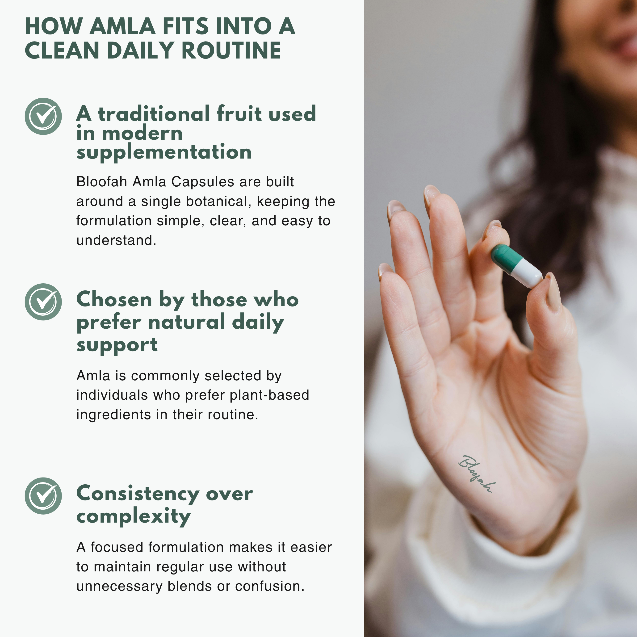 Bloofah AF Amla Capsules 500mg | Emblica officinalis (Indian Gooseberry) Extract | 120 Capsules