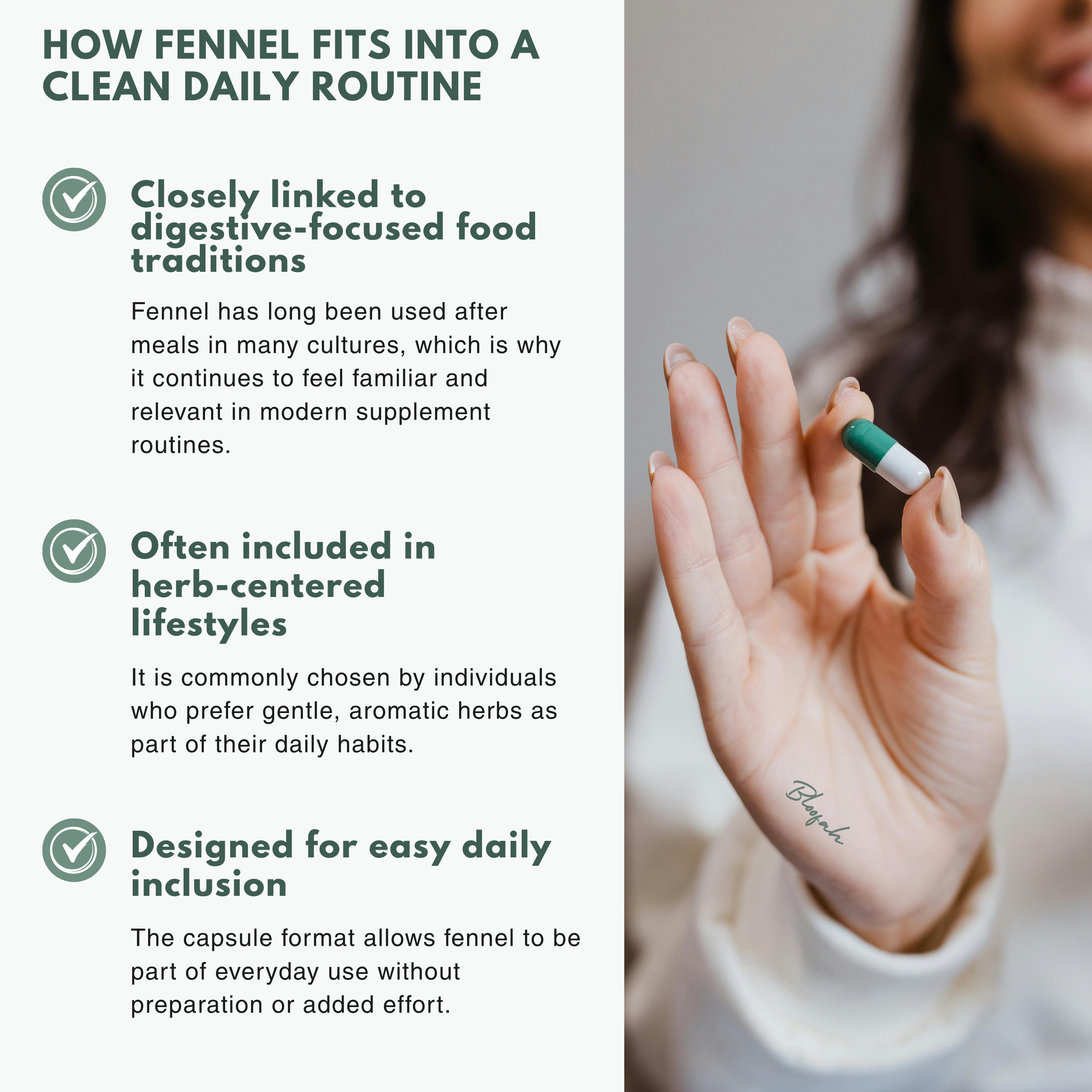 Bloofah FN Fennel Capsules 500mg | Foeniculum vulgare Seed Extract | 120 Capsules
