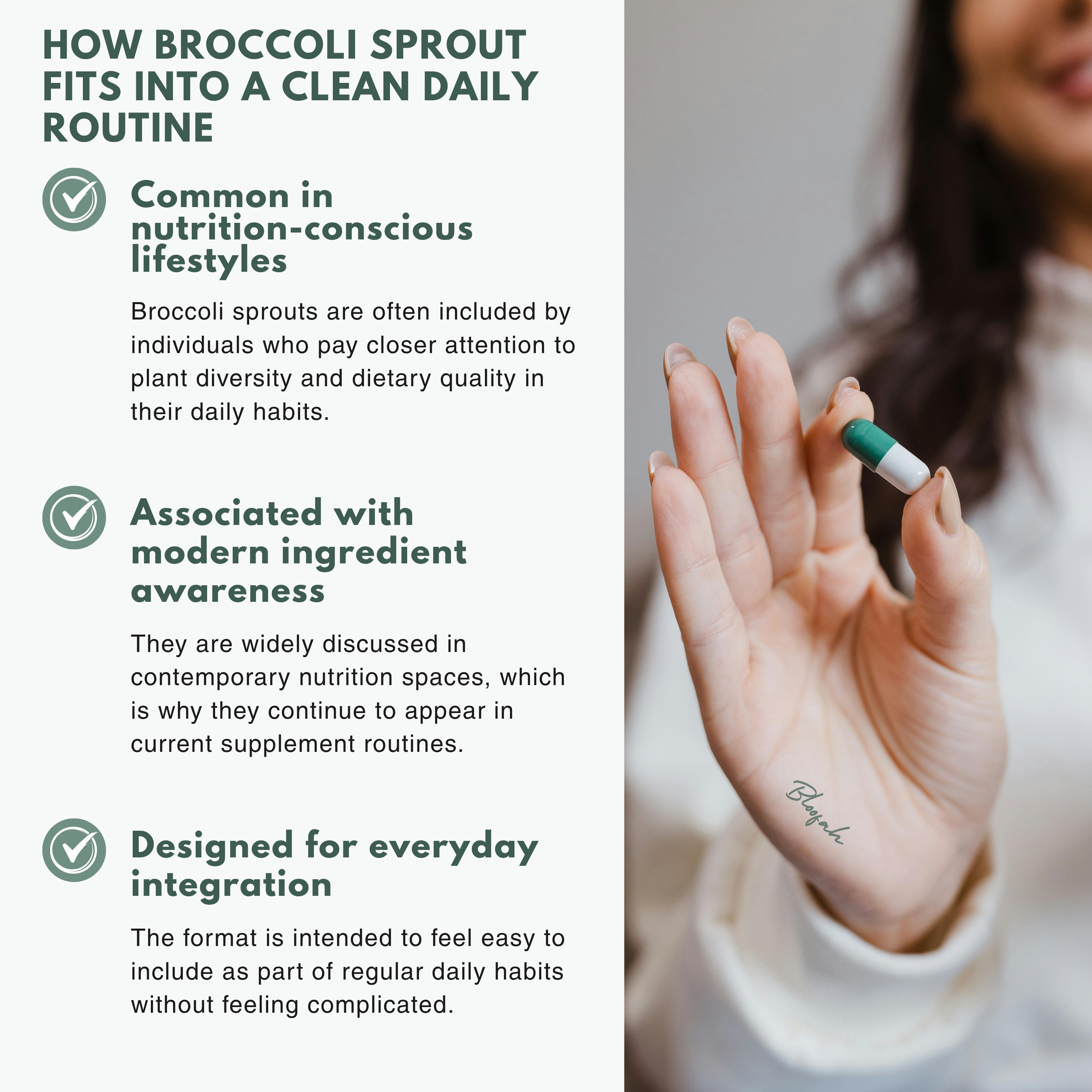 Bloofah BS Broccoli Sprout Capsules 500mg | Sulforaphane-Rich Brassica Extract | 120 Capsules
