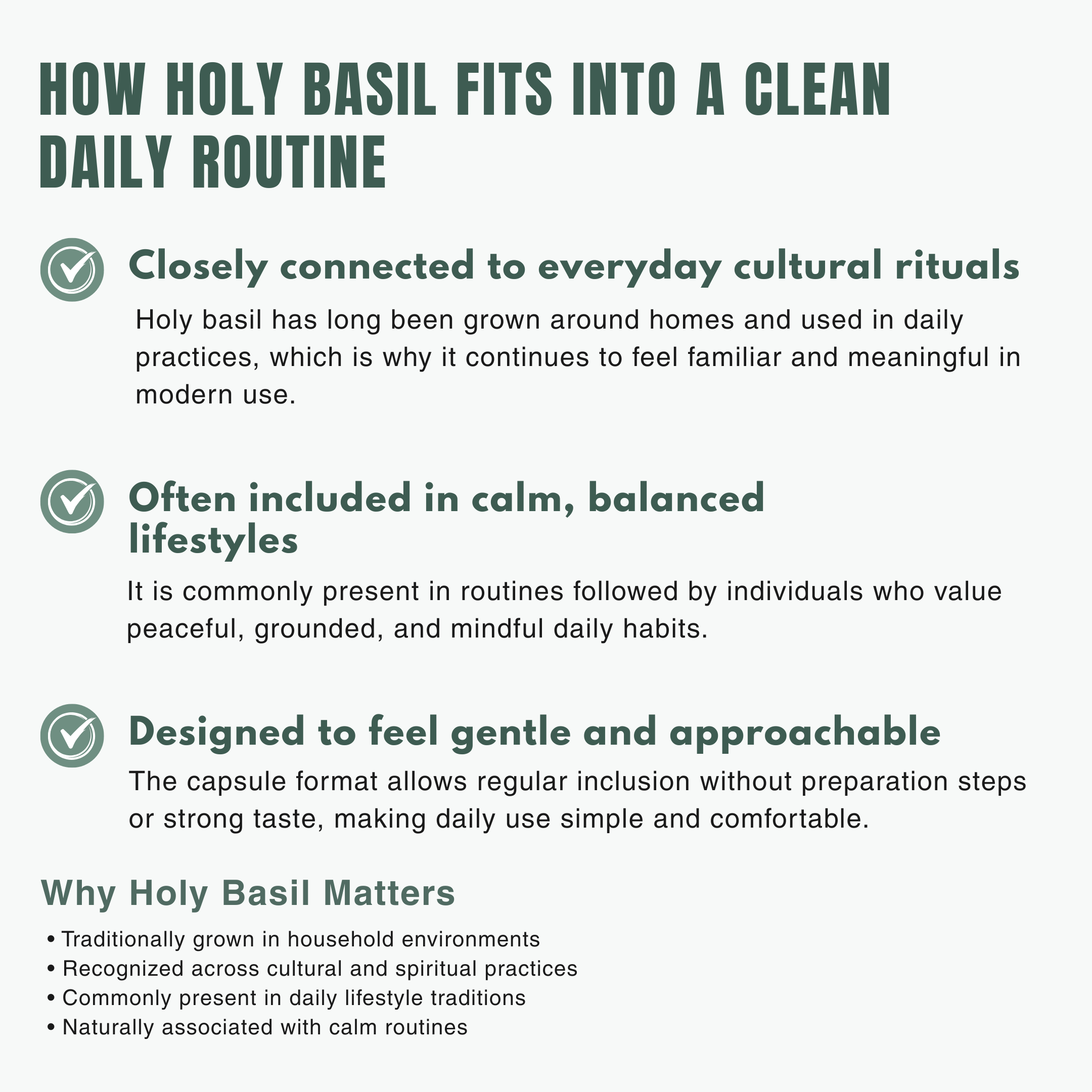 Bloofah HB – Holy Basil Capsules 500mg | Stress & Immunity Support (120 Capsules)
