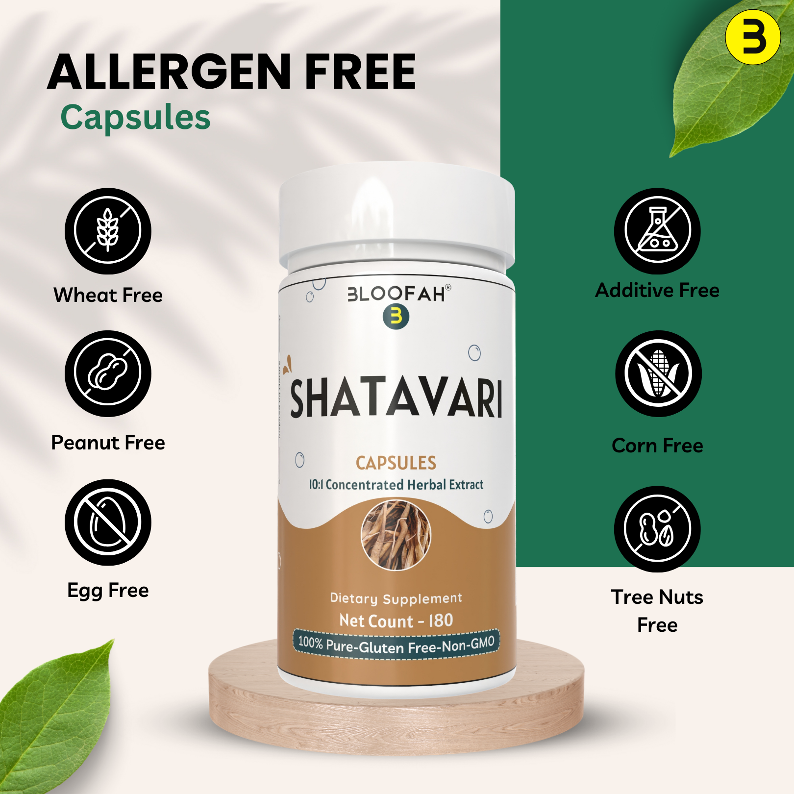 Bloofah Shatavari Root Capsules 500mg | 10:1 Extract Powder Eq. to 5000mg | Premium Herbal Supplement | Natural Asparagus racemosus for General Vitality | Non-GMO, Gluten-Free