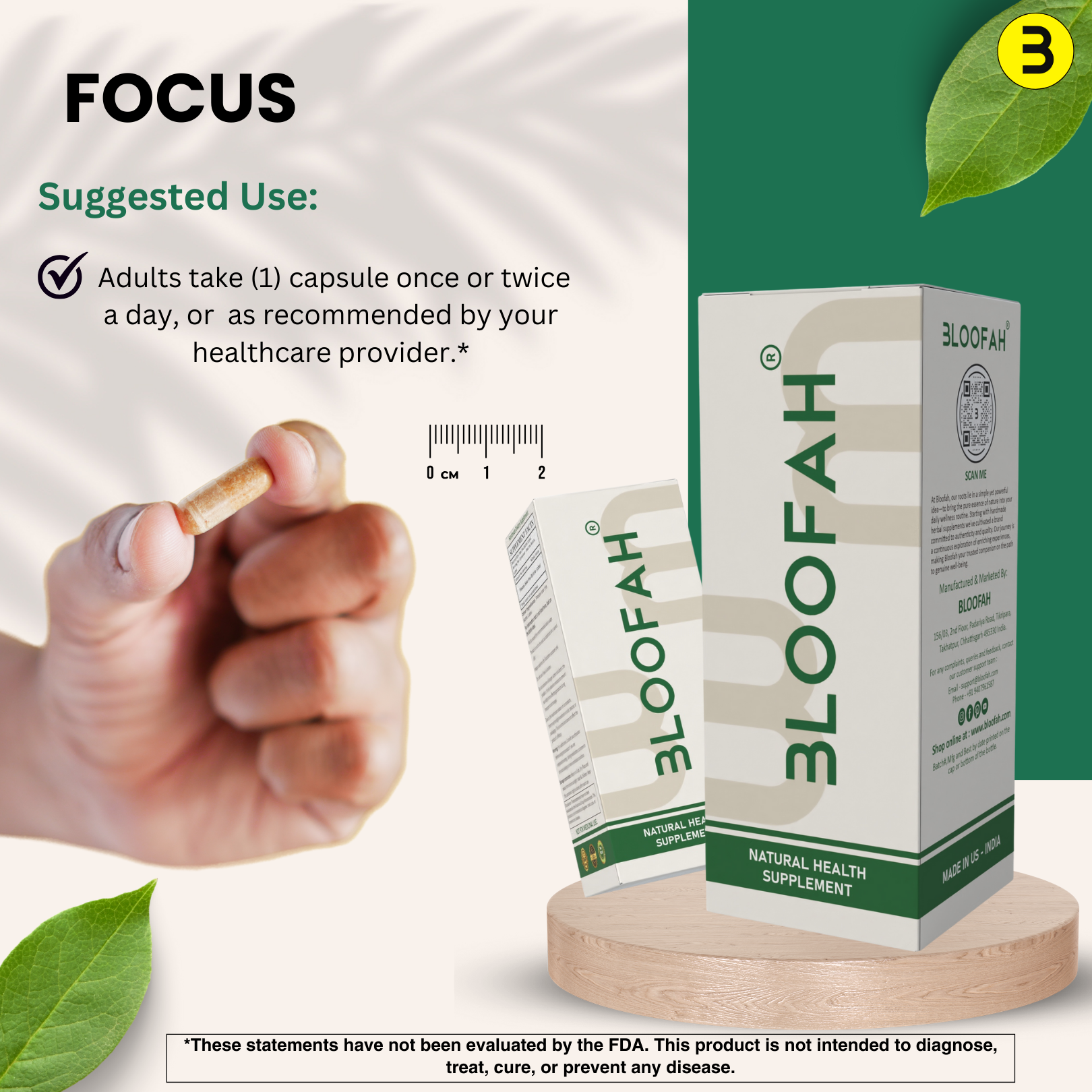 Bloofah Beet Root Extract Capsules 500mg | Premium Herbal Supplement, Non-GMO, Gluten-Free, Natural Beet Root Extract 10:1 Powder (Beta vulgaris) for Overall Health