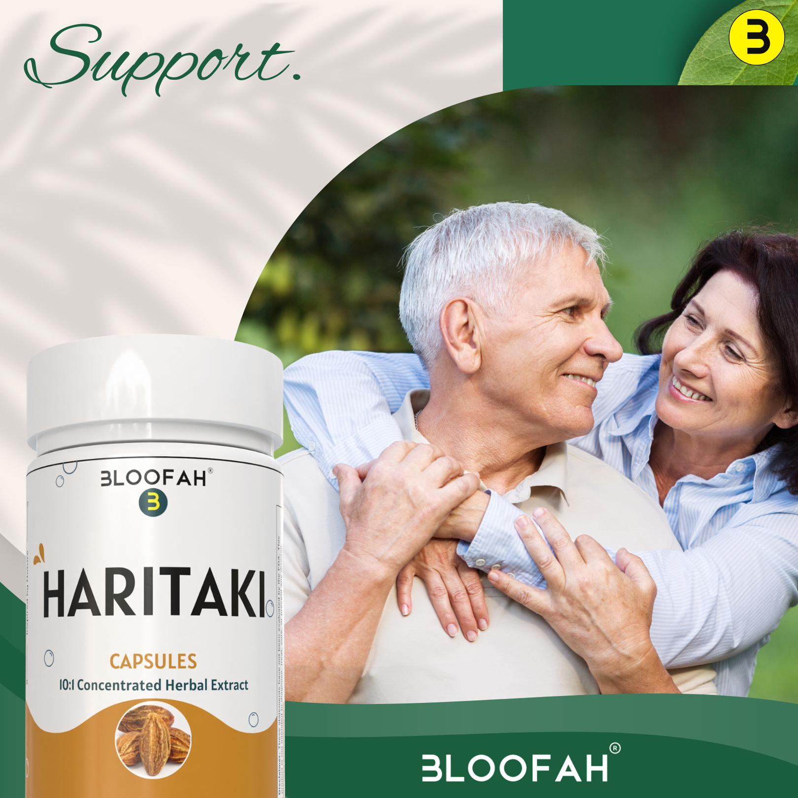 Bloofah Haritaki Capsules 500mg | Natural Digestive Health Supplement | 100% Pure Haritaki (Terminalia chebula) Fruit Extract 10:1 Powder | Non-GMO, Gluten Free Formula Herbal Supplement