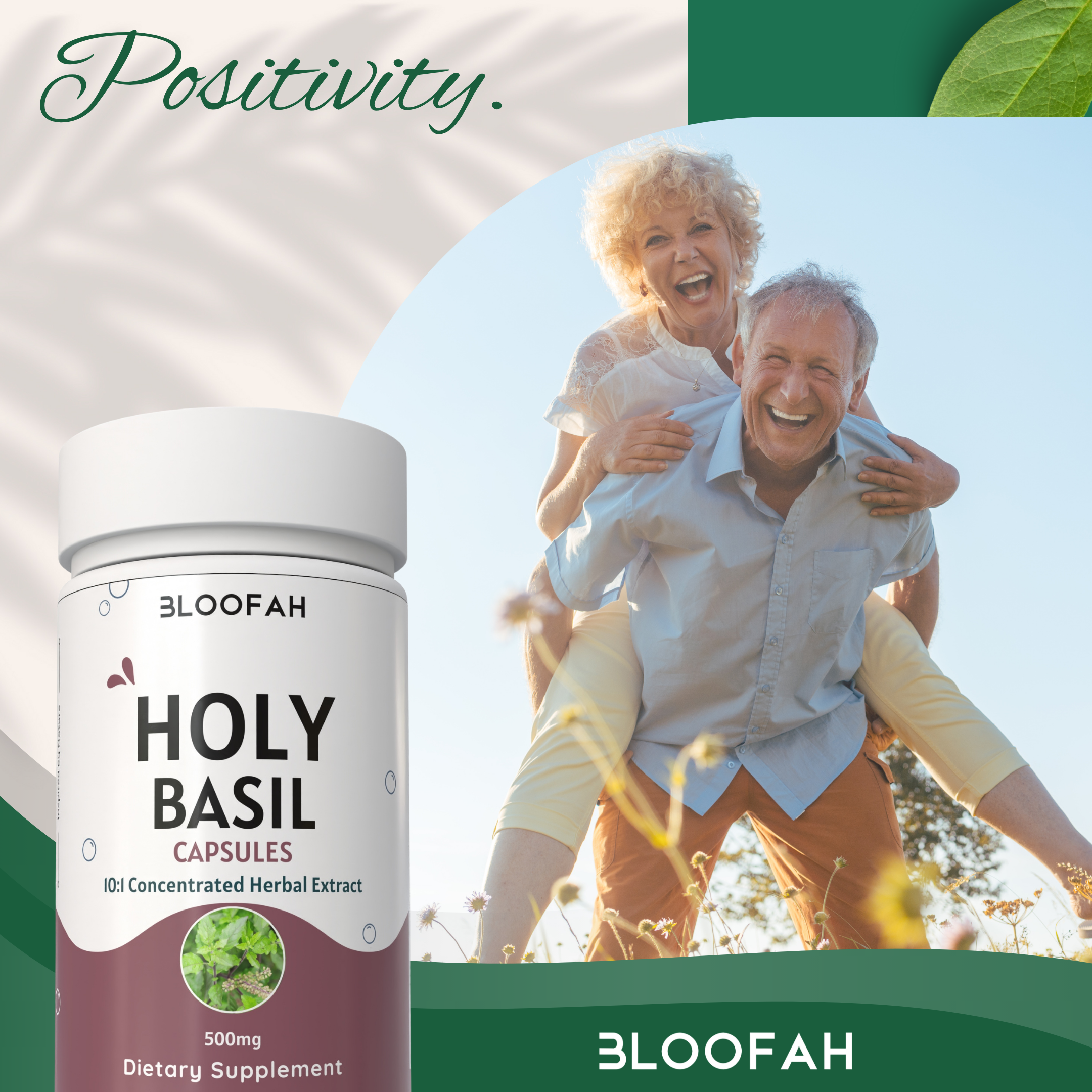 Bloofah Holy Basil Leaf Capsules 500mg - | Tulsi (Ocimum tenuiflorum) Extract 10:1 Leaf Powder | 100% Pure Natural Herbal Supplement | Non-GMO, Gluten Free Formula