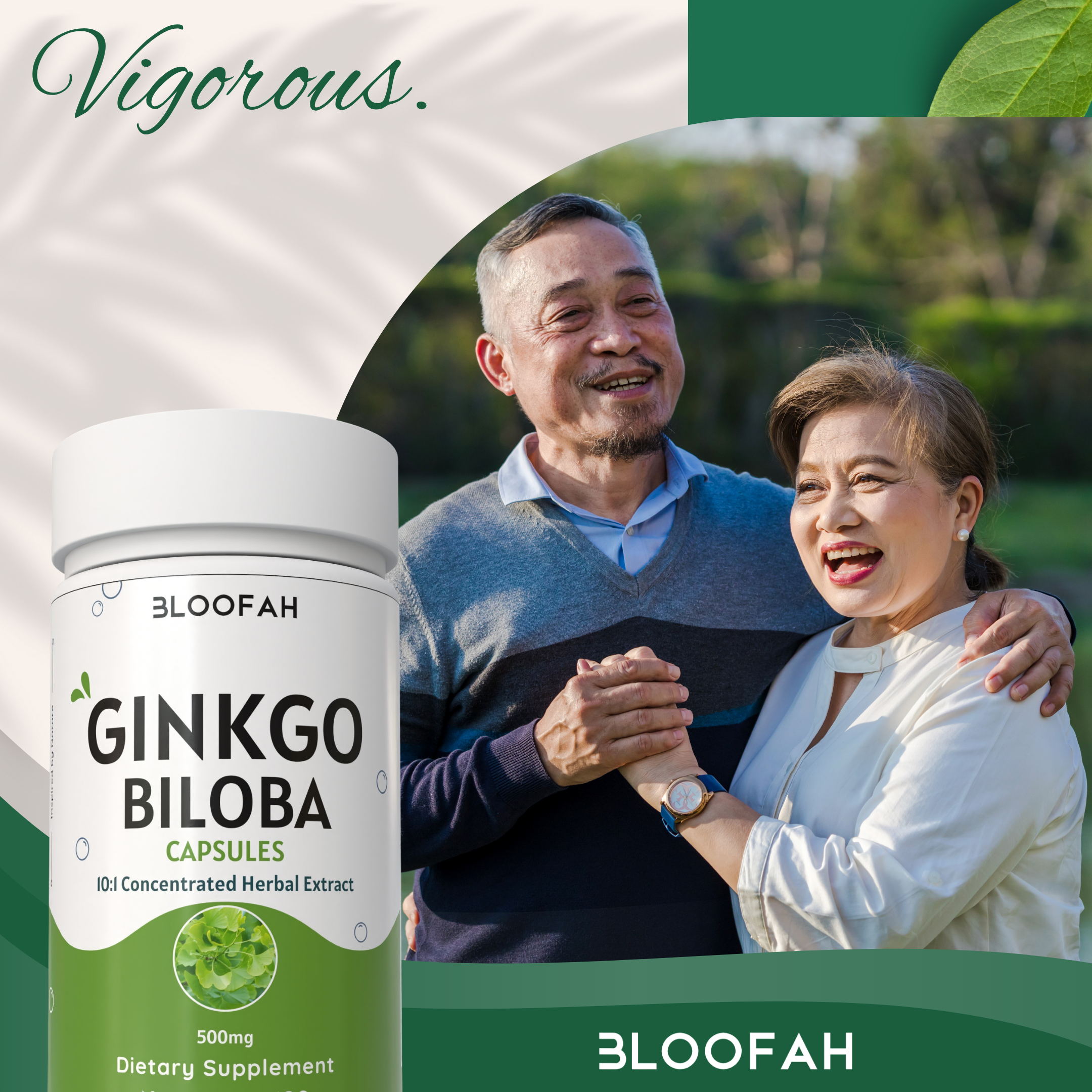 Bloofah Ginkgo Biloba Leaf Capsules 2300mg | 100% Pure Ginkgo Biloba Leaf Extract 10:1 & Powder | Non-GMO, Gluten Free Formula Health Supplement for Overall Wellbeing