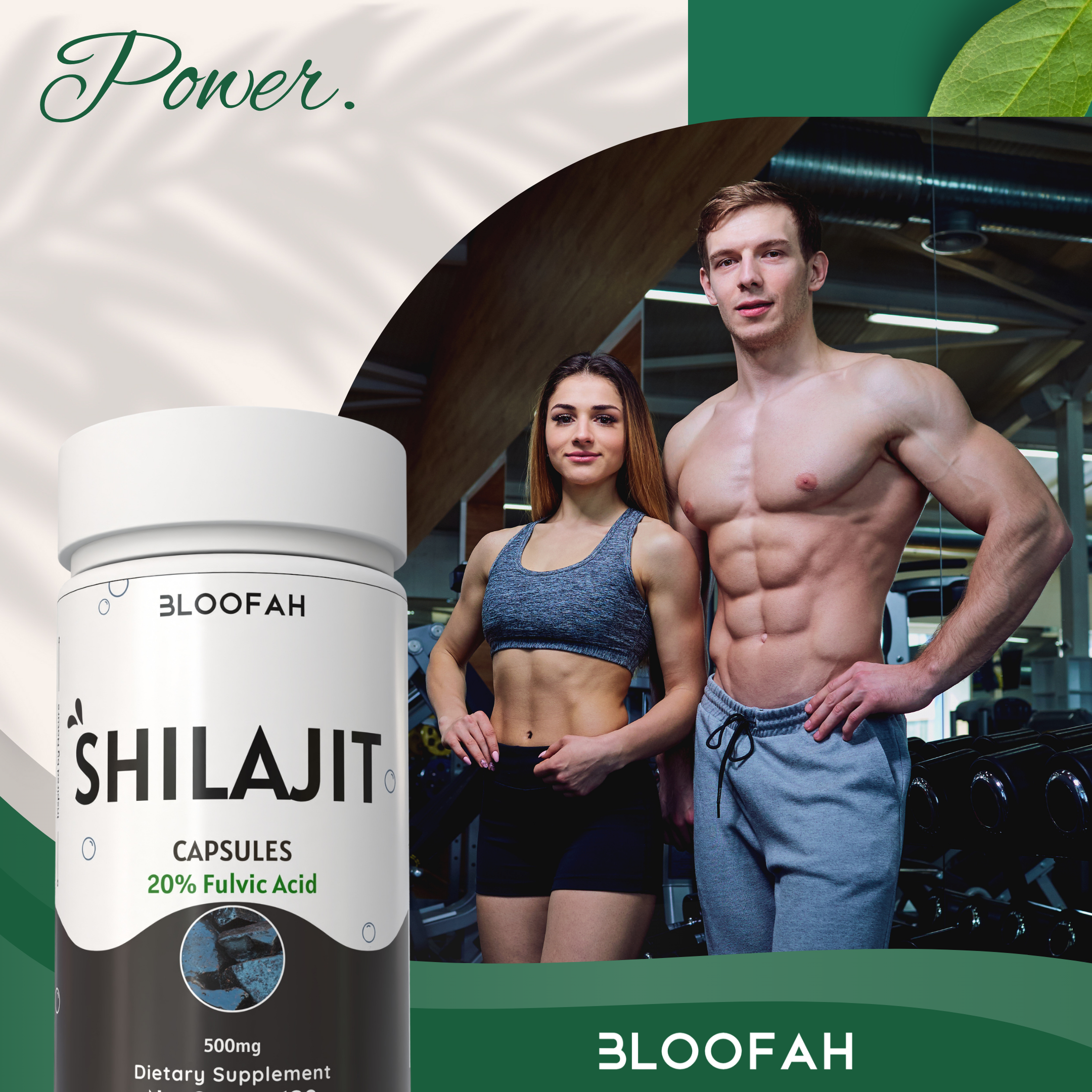 Bloofah Shilajit Capsules 500mg | Himalayan Shilajit Supplement for Men - (High in Trace Minerals, No Fillers) Premium Shilajit Extract 20% (from India) Natural, Non GMO