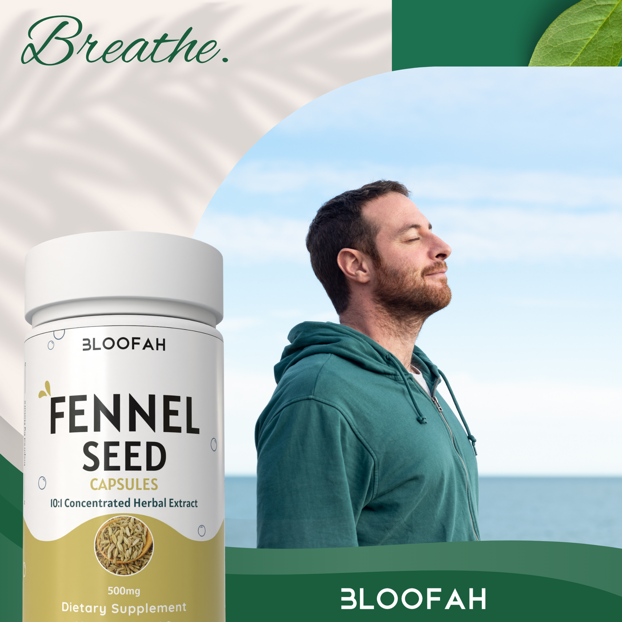 Bloofah Fennel Seed Capsules 500mg | 100% Pure Fennel Seed Extract 10:1 (Foeniculum vulgare) Powder | Non-GMO, Gluten Free Formula for Overall Health Supplement
