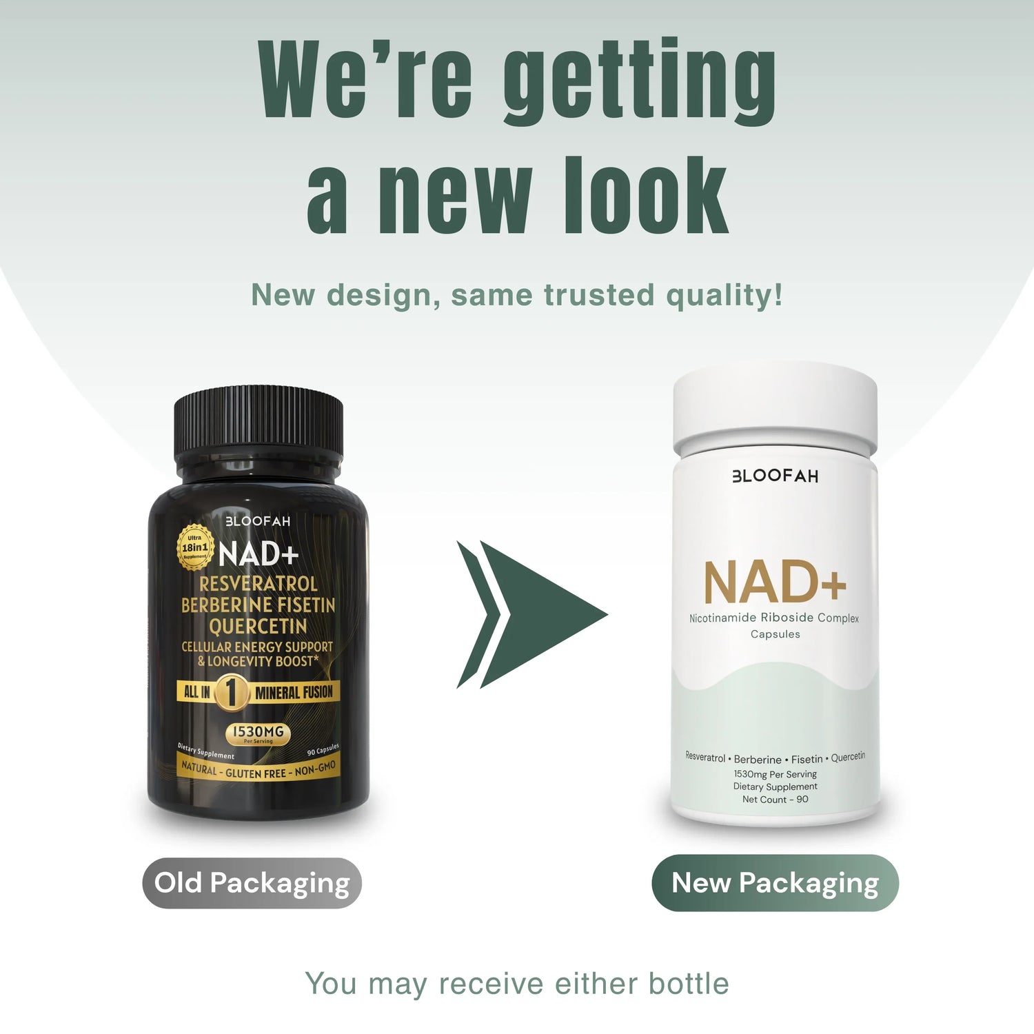 Bloofah NAD+ Capsules 1530mg | Nicotinamide Riboside + Resveratrol + 18 Botanical Herbs | 90 Vegan Capsules