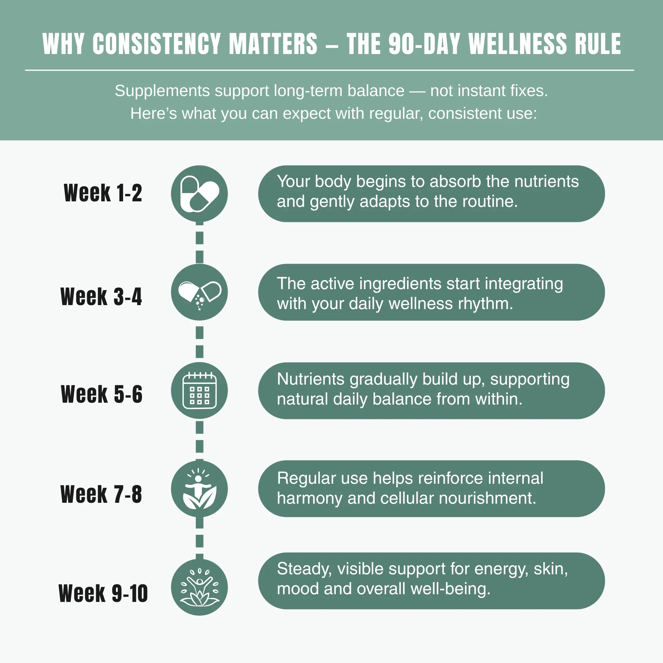 Bloofah GS – Ginseng Capsules 1000mg | Energy & Vitality Support (120 Capsules)