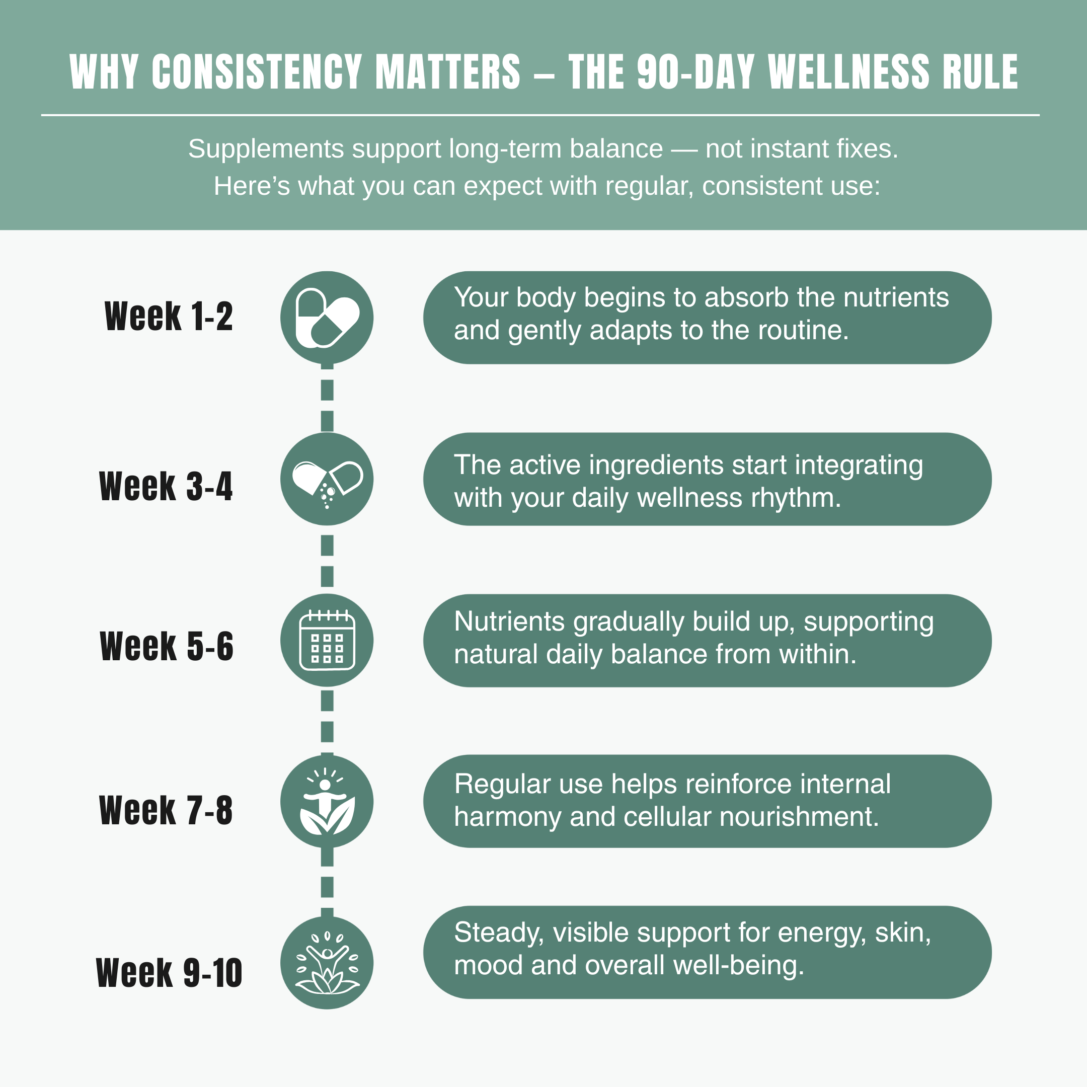 Bloofah BR Beet Root Capsules 500mg | Energy & Stamina Support (120 Capsules)