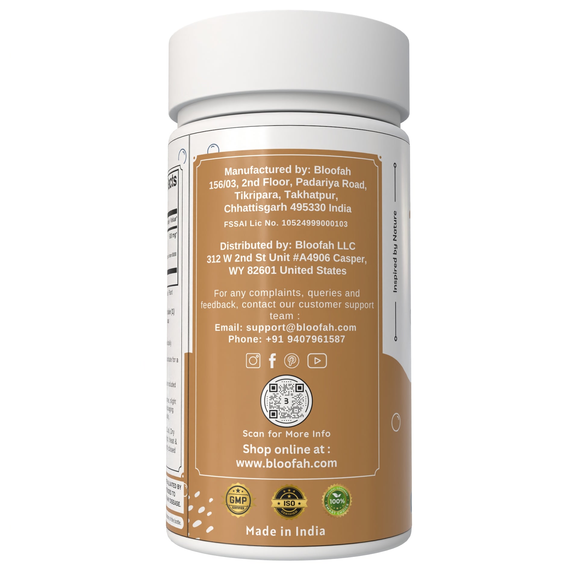 Bloofah Ginger Root Capsules 500mg | Non-GMO, Gluten Free Formula | 100% Pure Ginger (Zingiber officinale) Root Extract 10:1 Powder Herbal Supplement for Overall Health