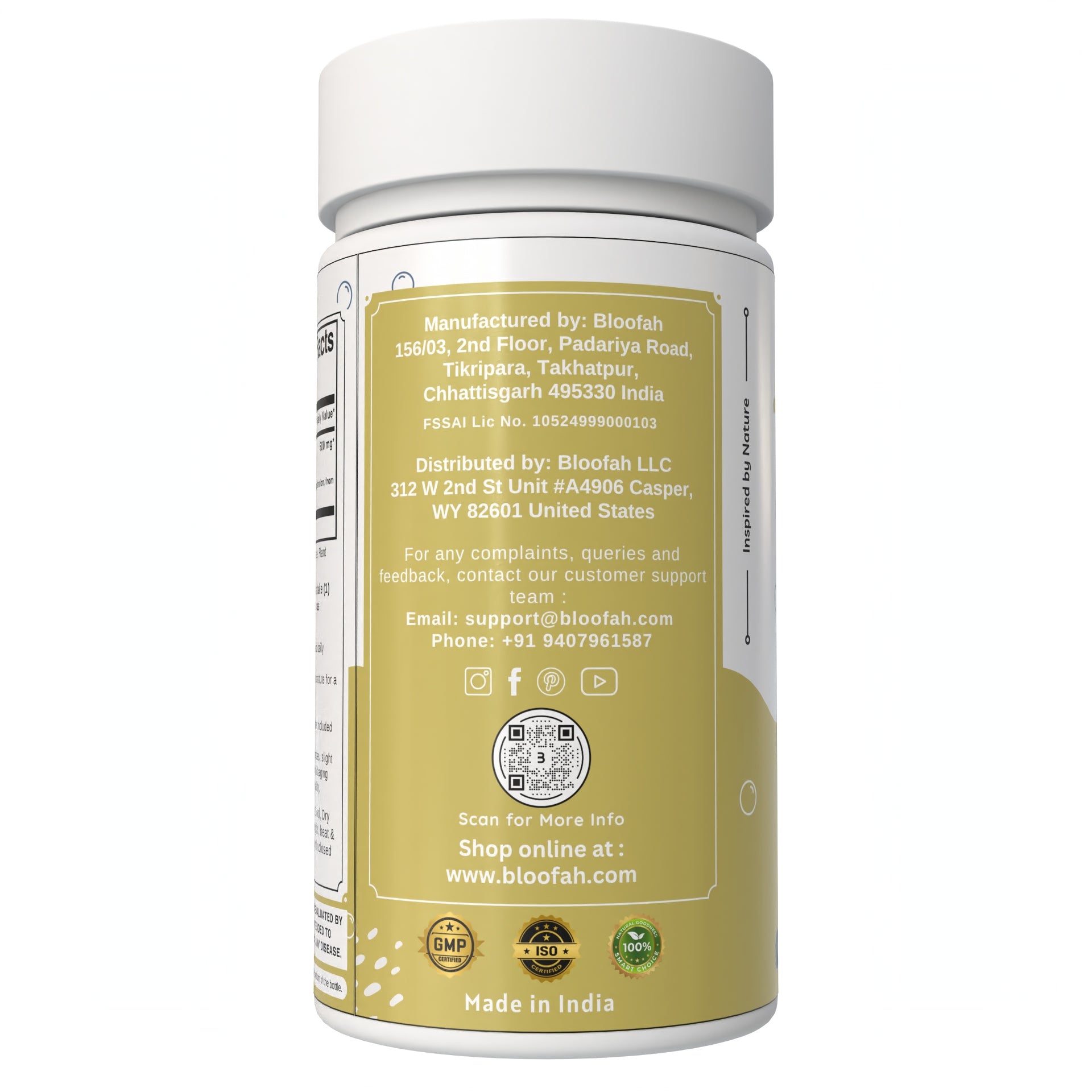 Bloofah Fennel Seed Capsules 500mg | 100% Pure Fennel Seed Extract 10:1 (Foeniculum vulgare) Powder | Non-GMO, Gluten Free Formula for Overall Health Supplement